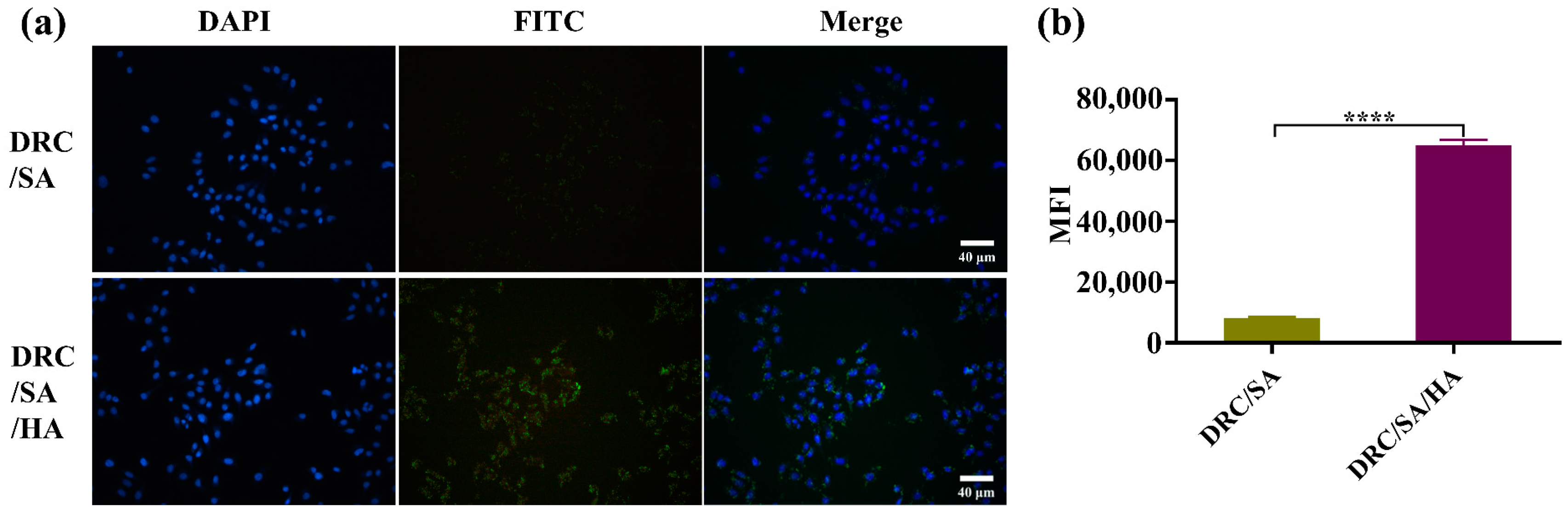 Jfb 14 00301 g007 Jfb 14 00301 g007