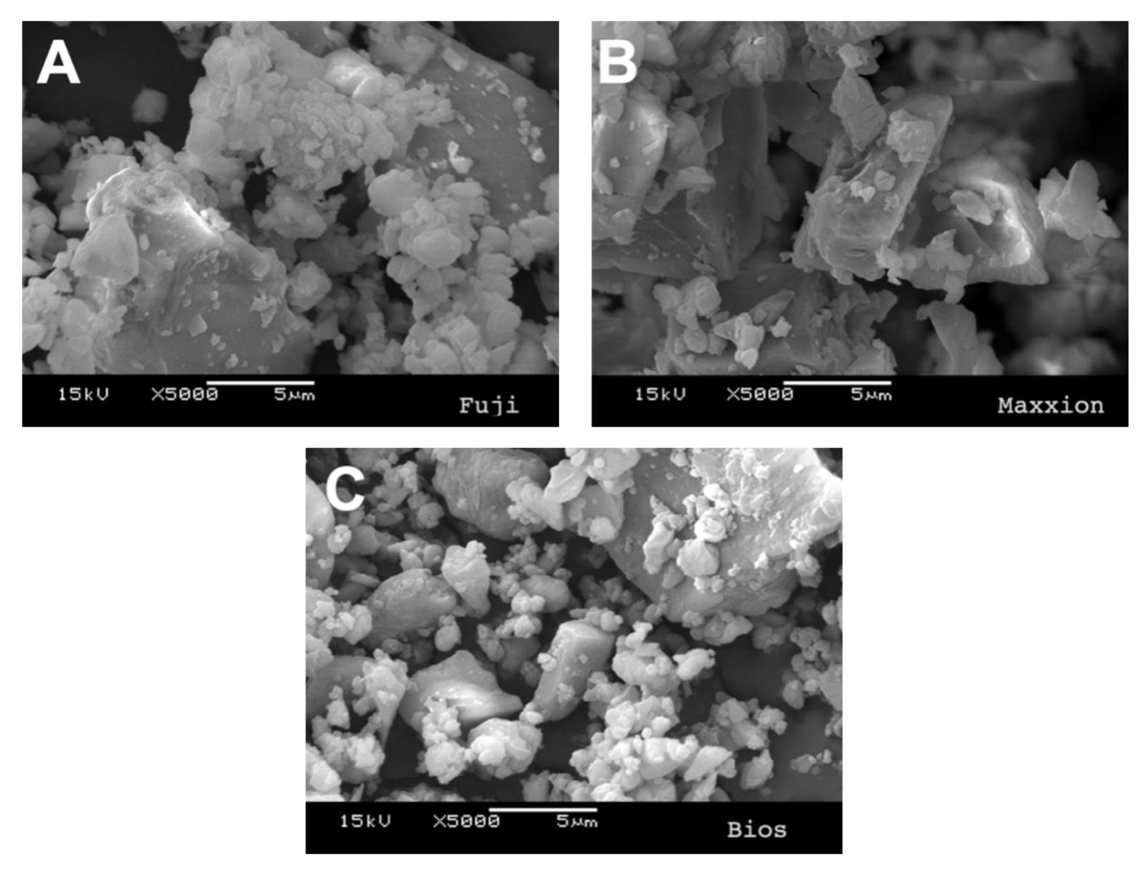 JFB Free FullText Effect of Biosilicate® Addition on PhysicalMechanical and Biological