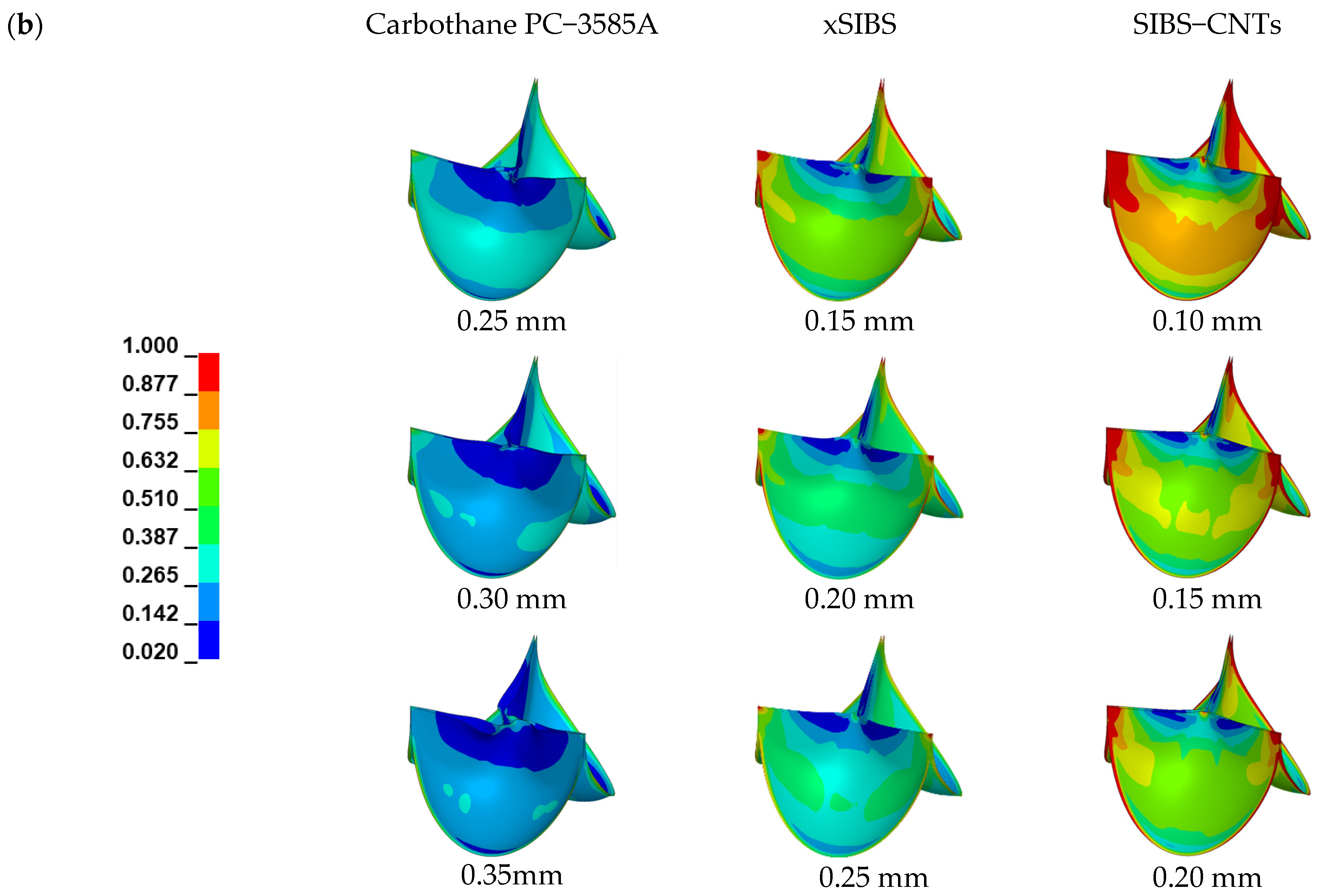 Jfb 14 00309 g005b Jfb 14 00309 g005b