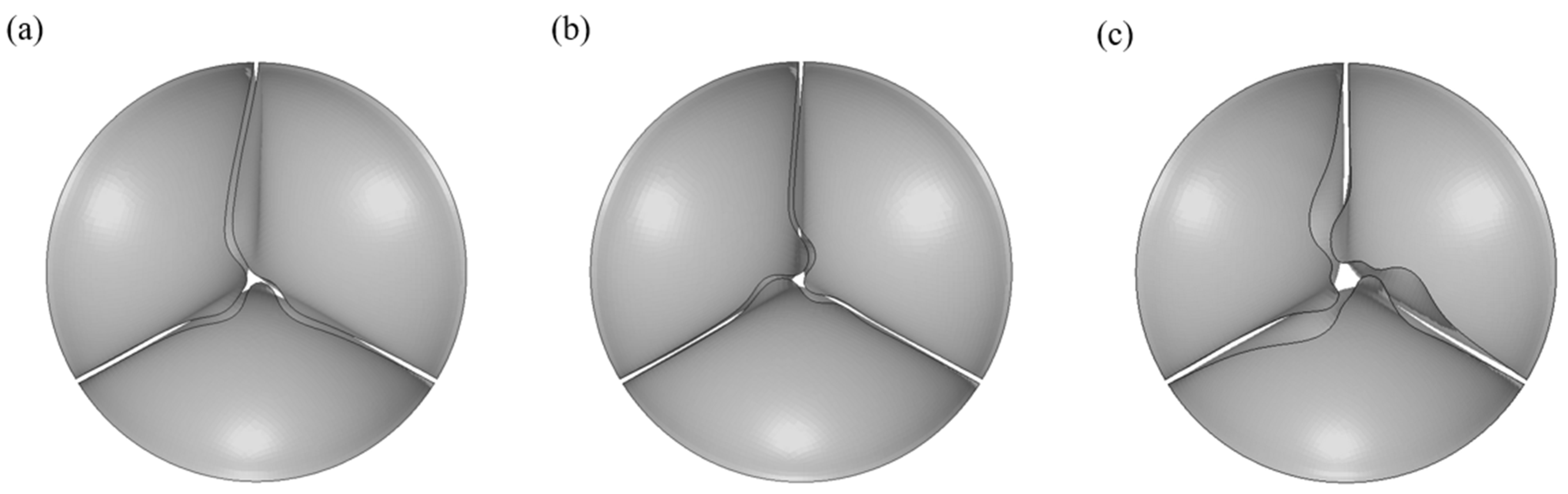 Jfb 14 00309 g007 Jfb 14 00309 g007