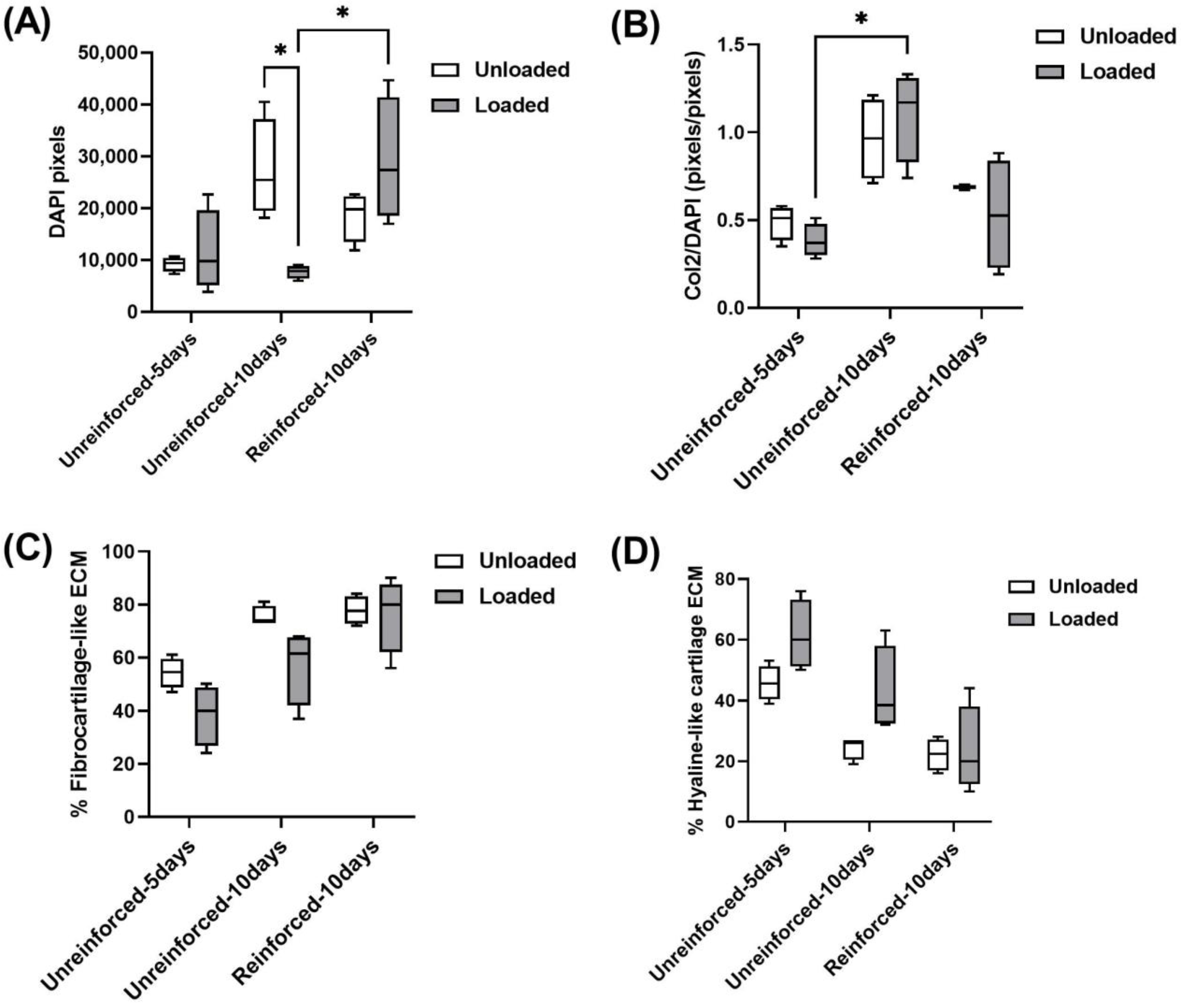 Jfb 14 00313 g005 Jfb 14 00313 g005