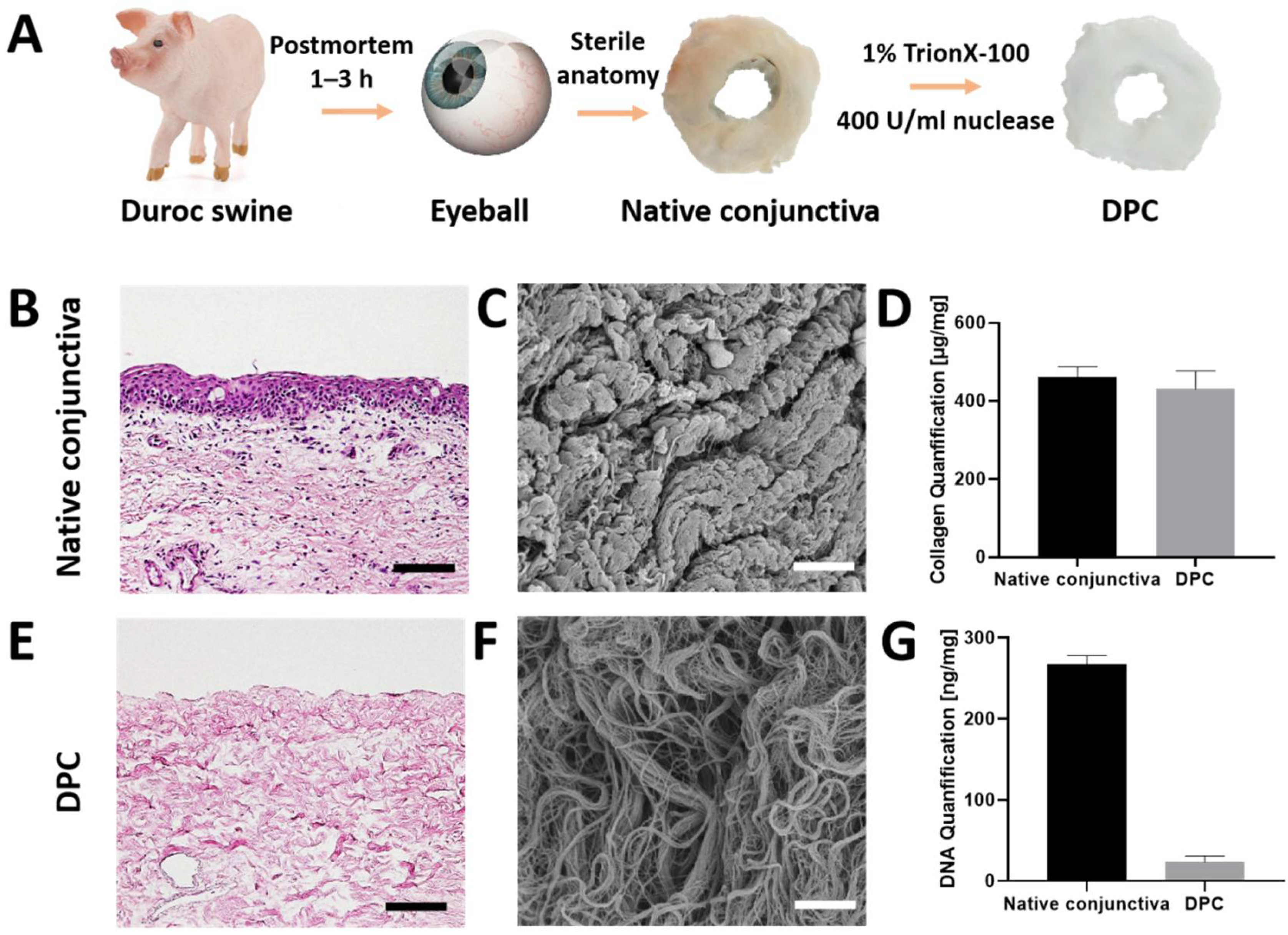 Jfb 14 00318 g001 Jfb 14 00318 g001