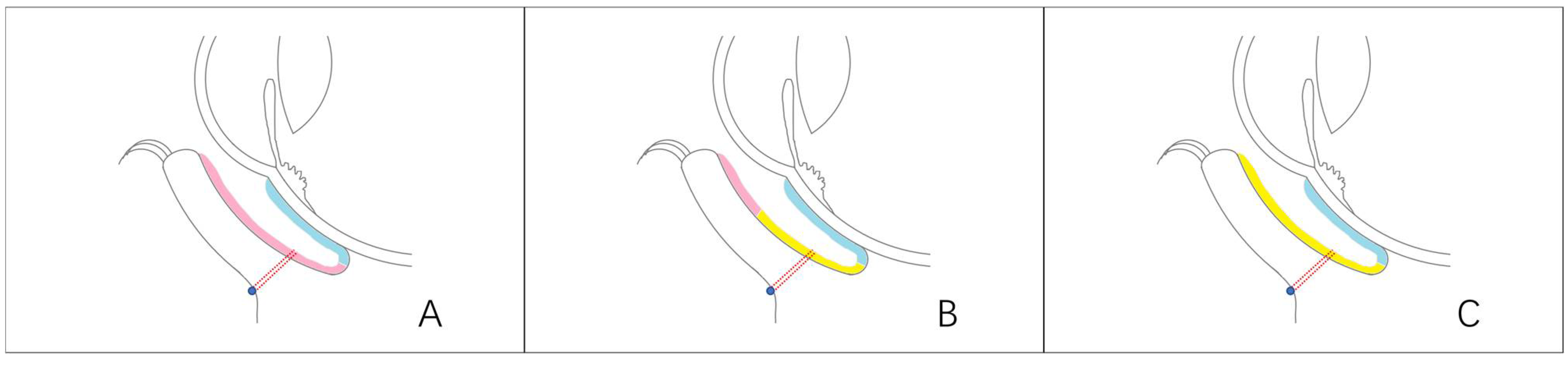 Jfb 14 00318 g002 Jfb 14 00318 g002