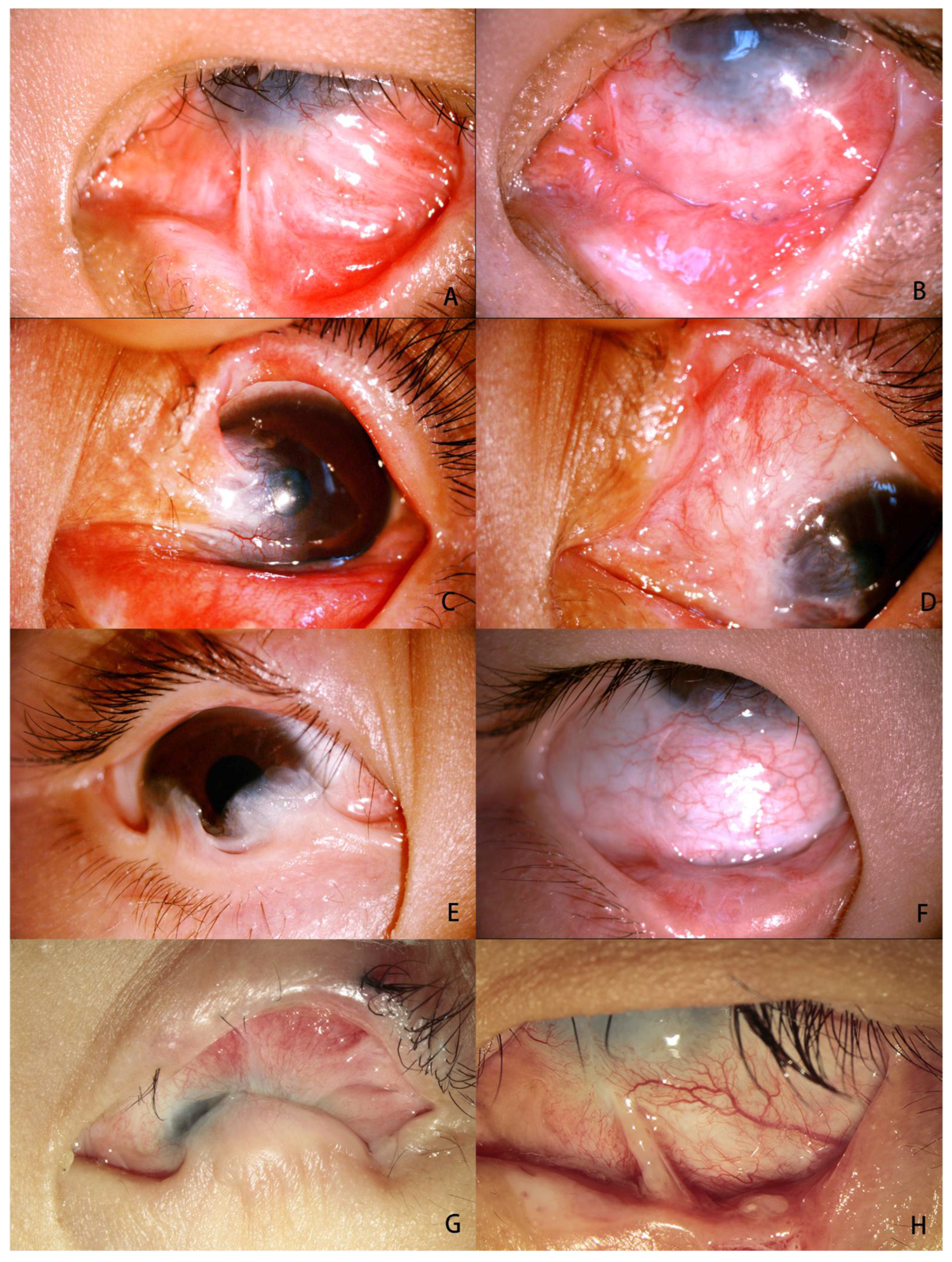 Jfb 14 00318 g003 Jfb 14 00318 g003