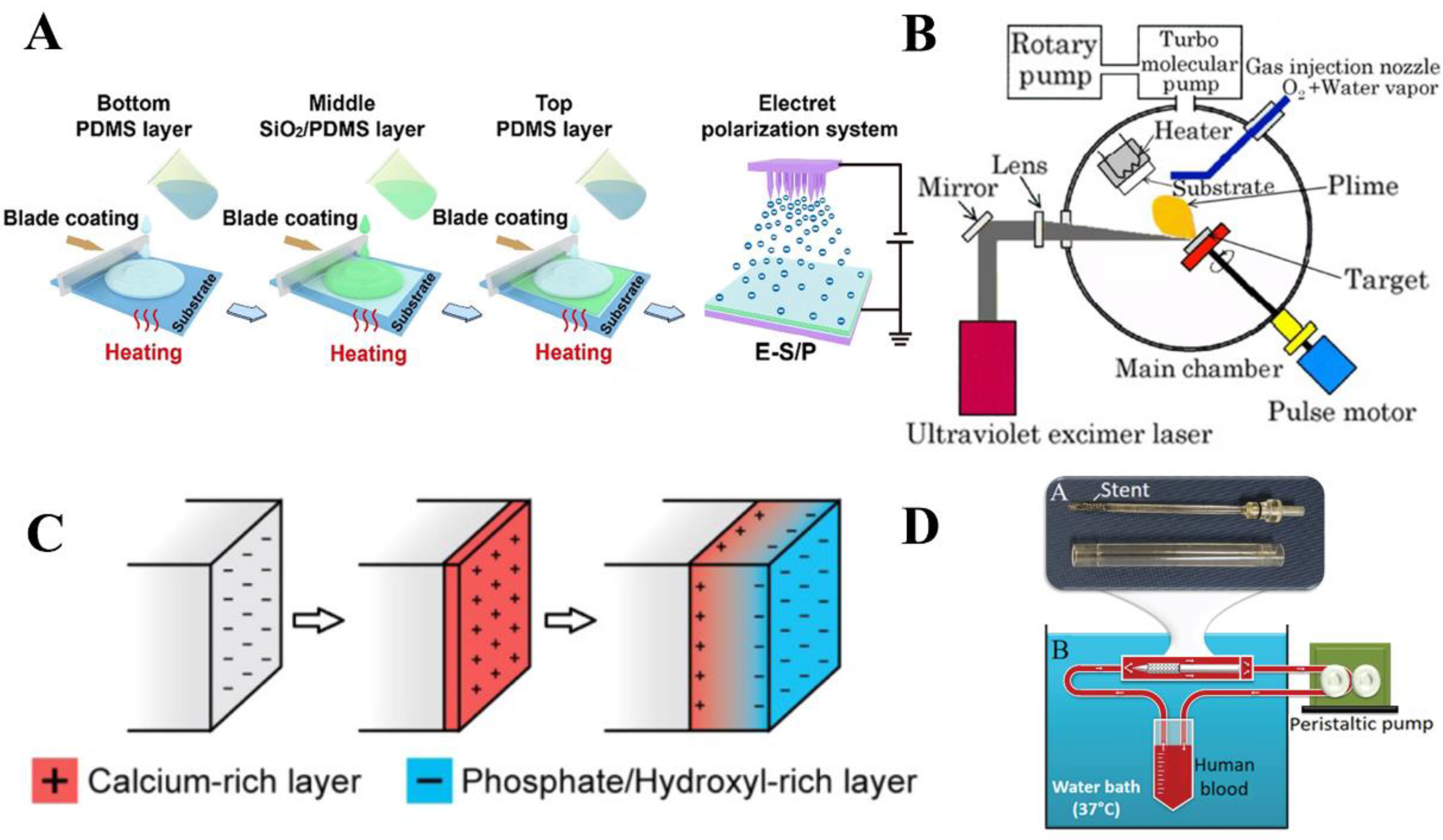 Jfb 14 00320 g002 Jfb 14 00320 g002