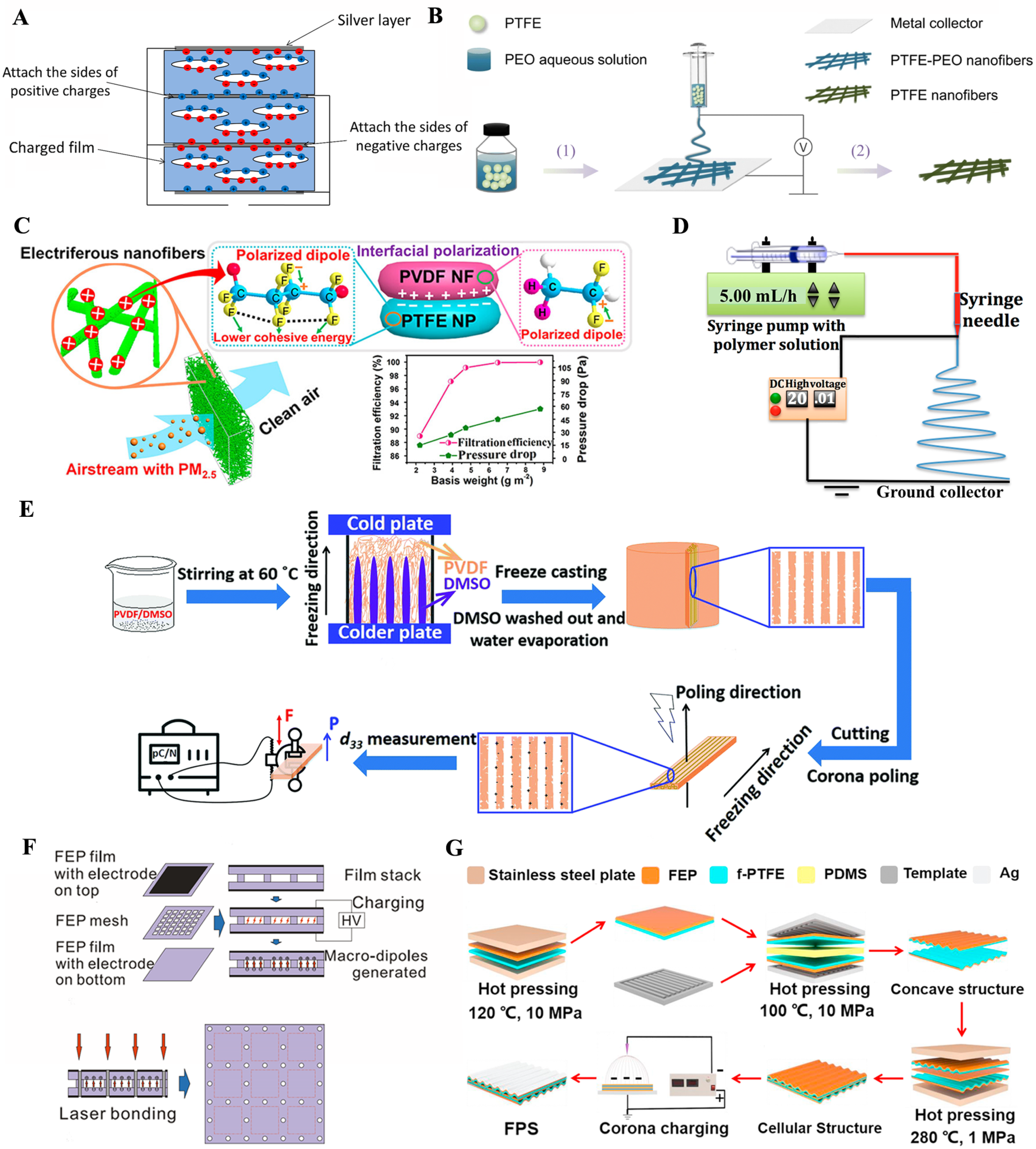 Jfb 14 00320 g003 Jfb 14 00320 g003