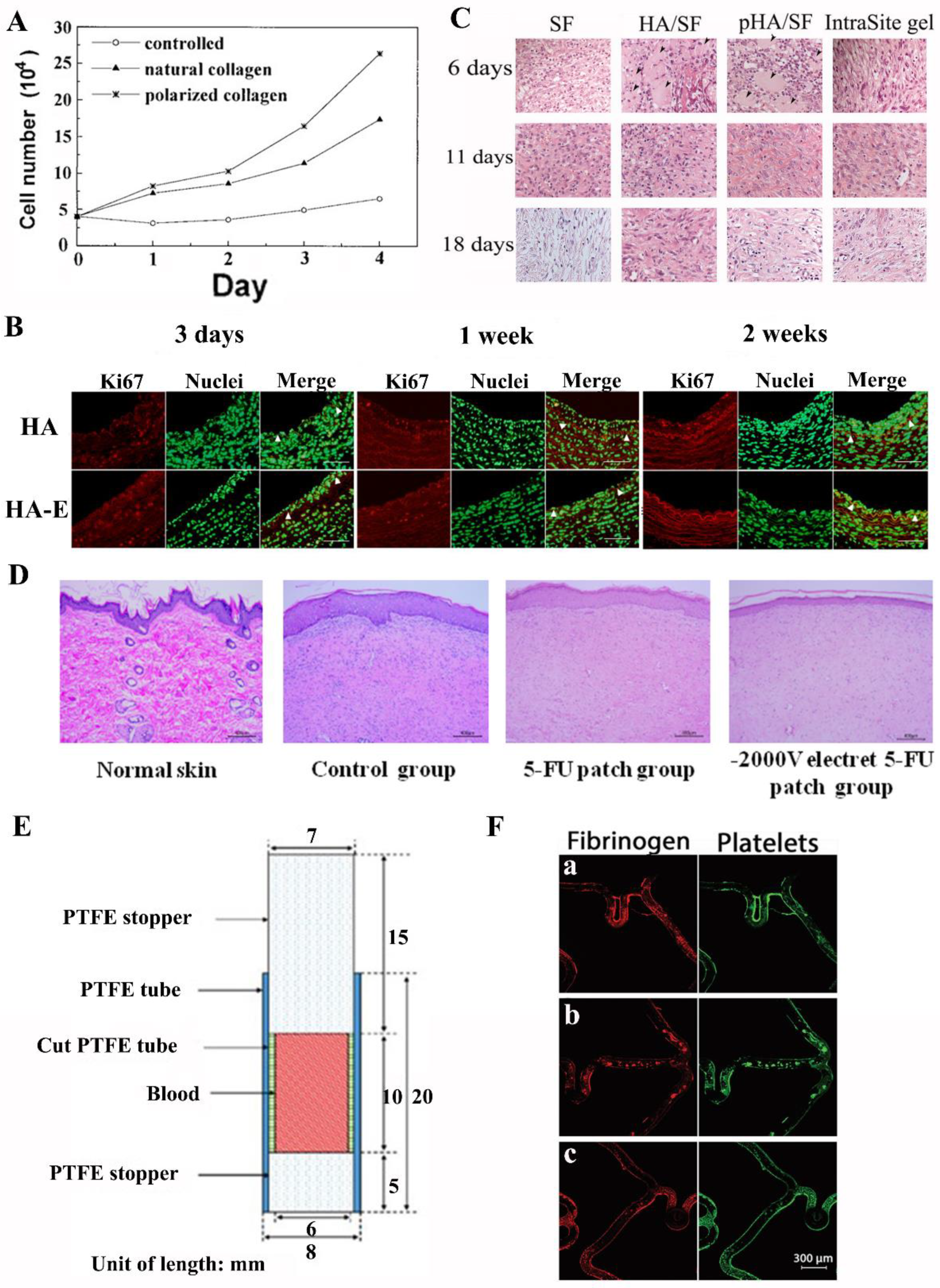 Jfb 14 00320 g005 Jfb 14 00320 g005