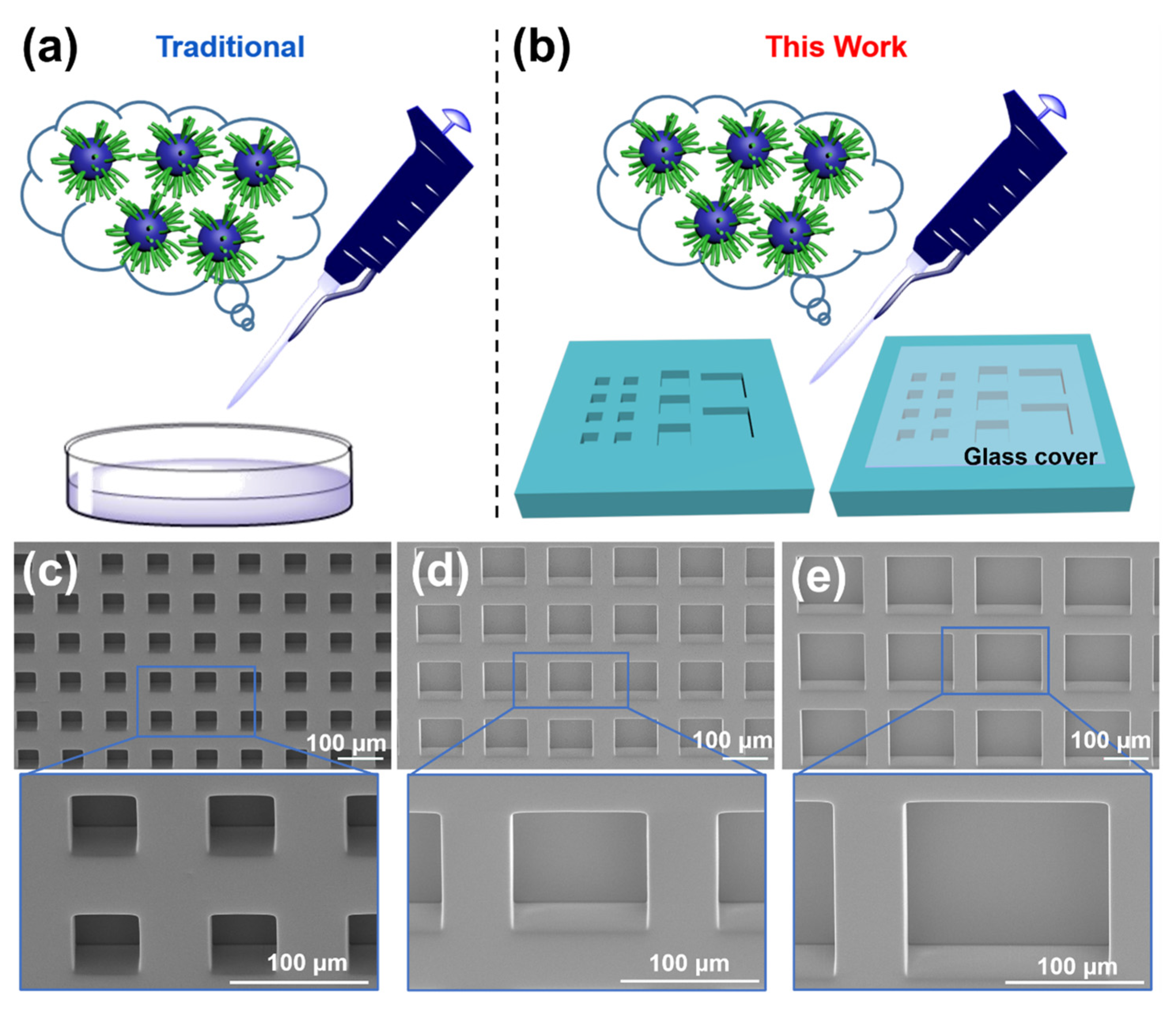 Jfb 14 00322 g001 Jfb 14 00322 g001