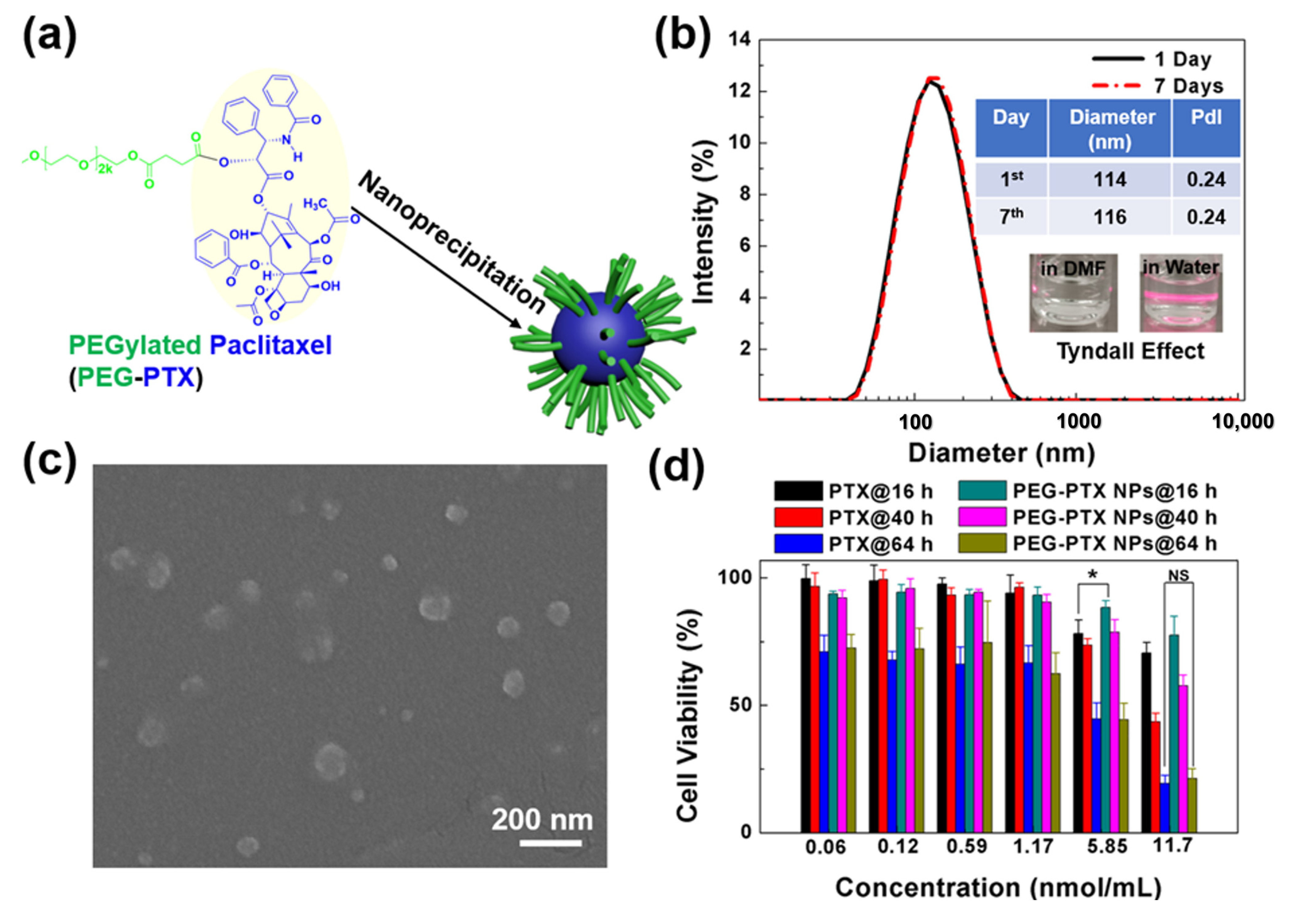 Jfb 14 00322 g002 Jfb 14 00322 g002