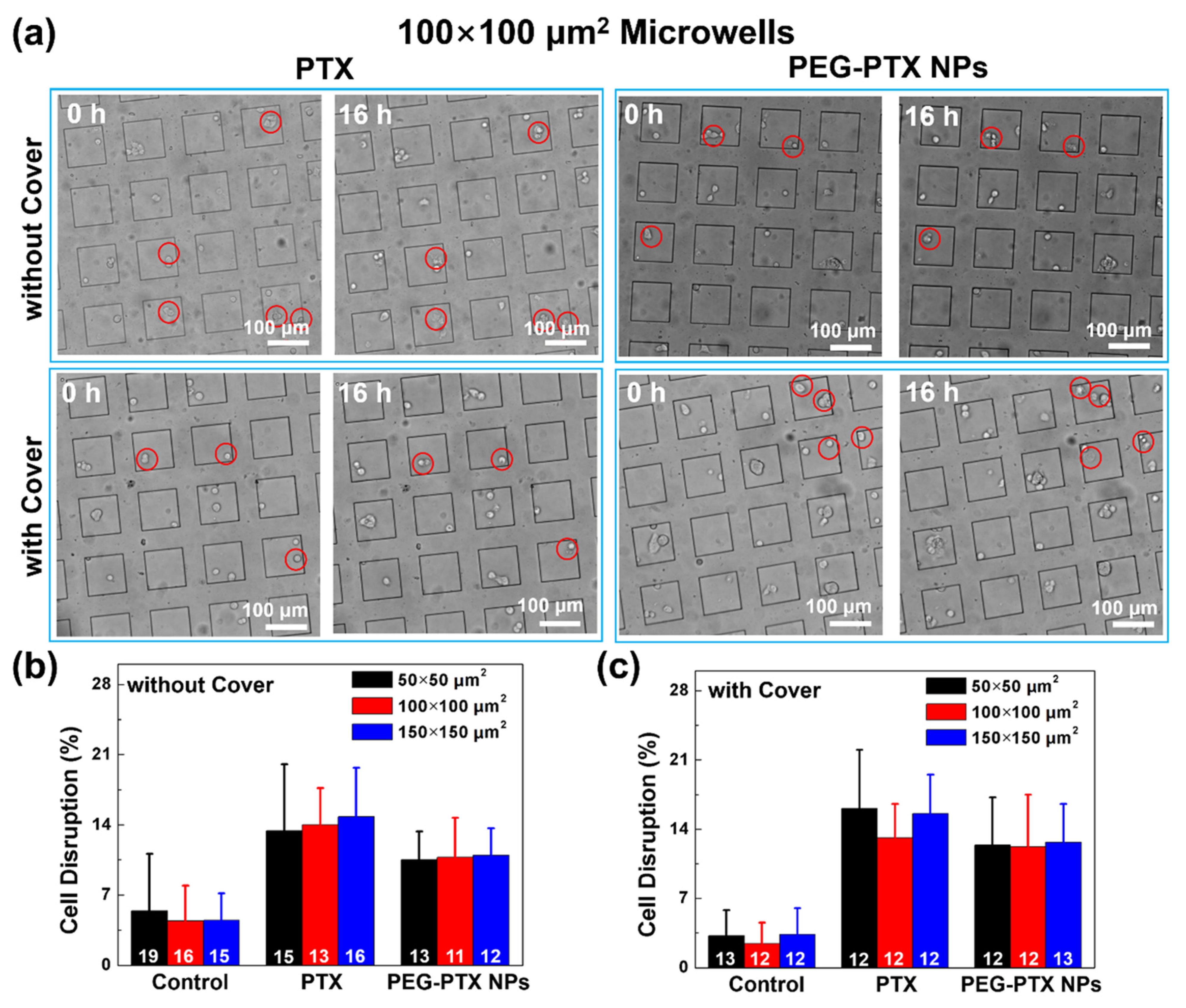 Jfb 14 00322 g004 Jfb 14 00322 g004