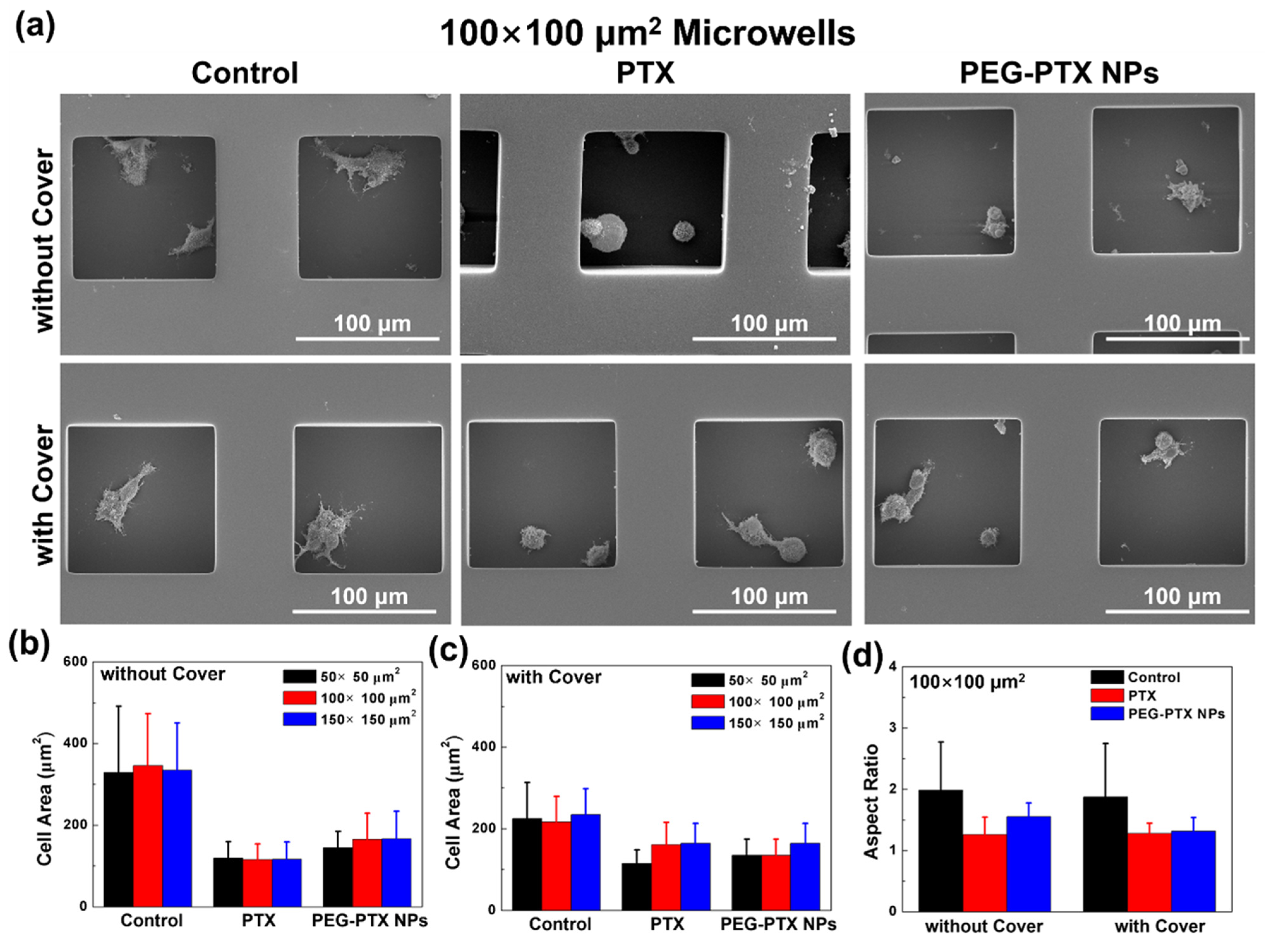 Jfb 14 00322 g007 Jfb 14 00322 g007