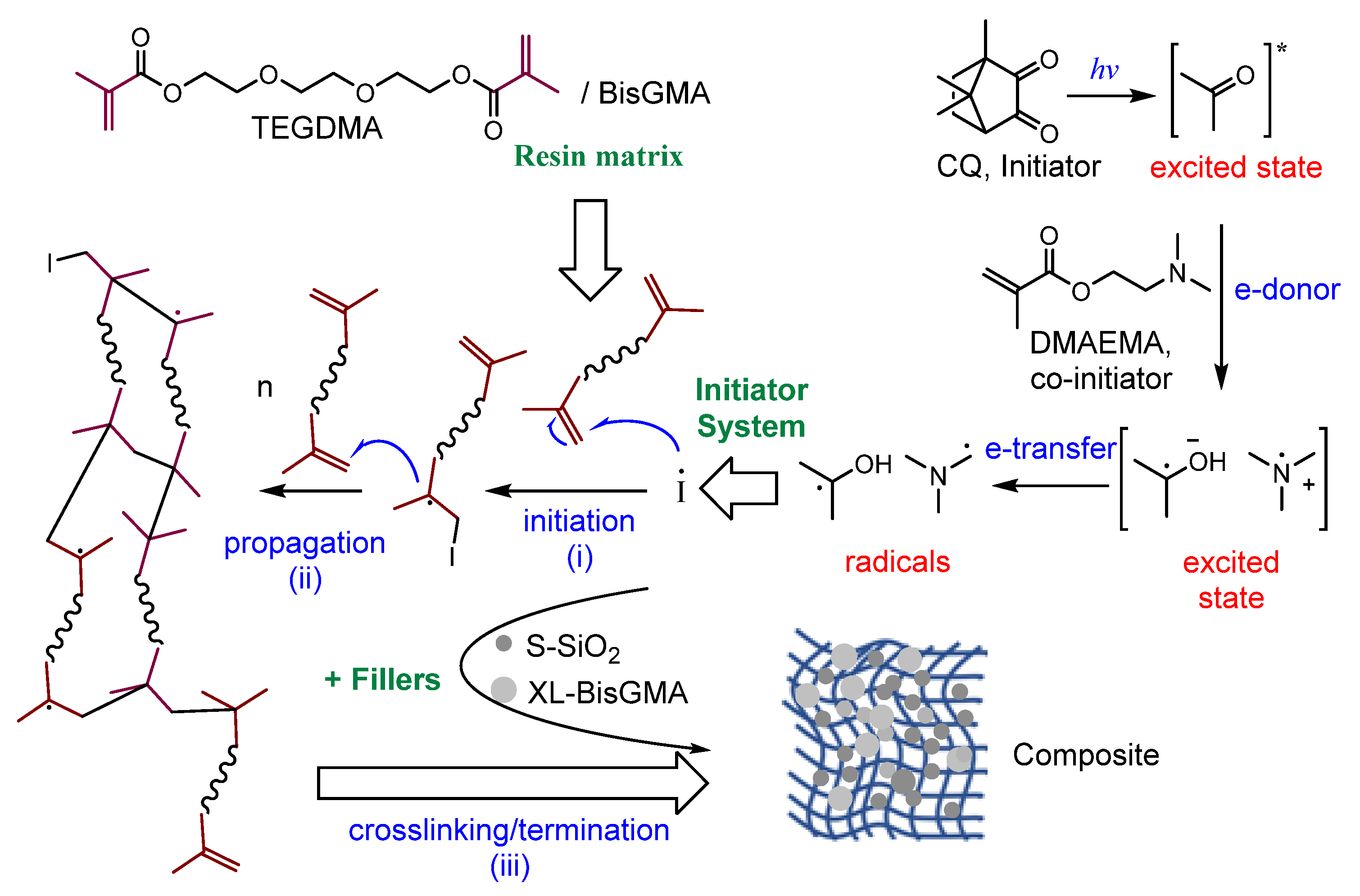 Jfb 14 00323 g002 Jfb 14 00323 g002