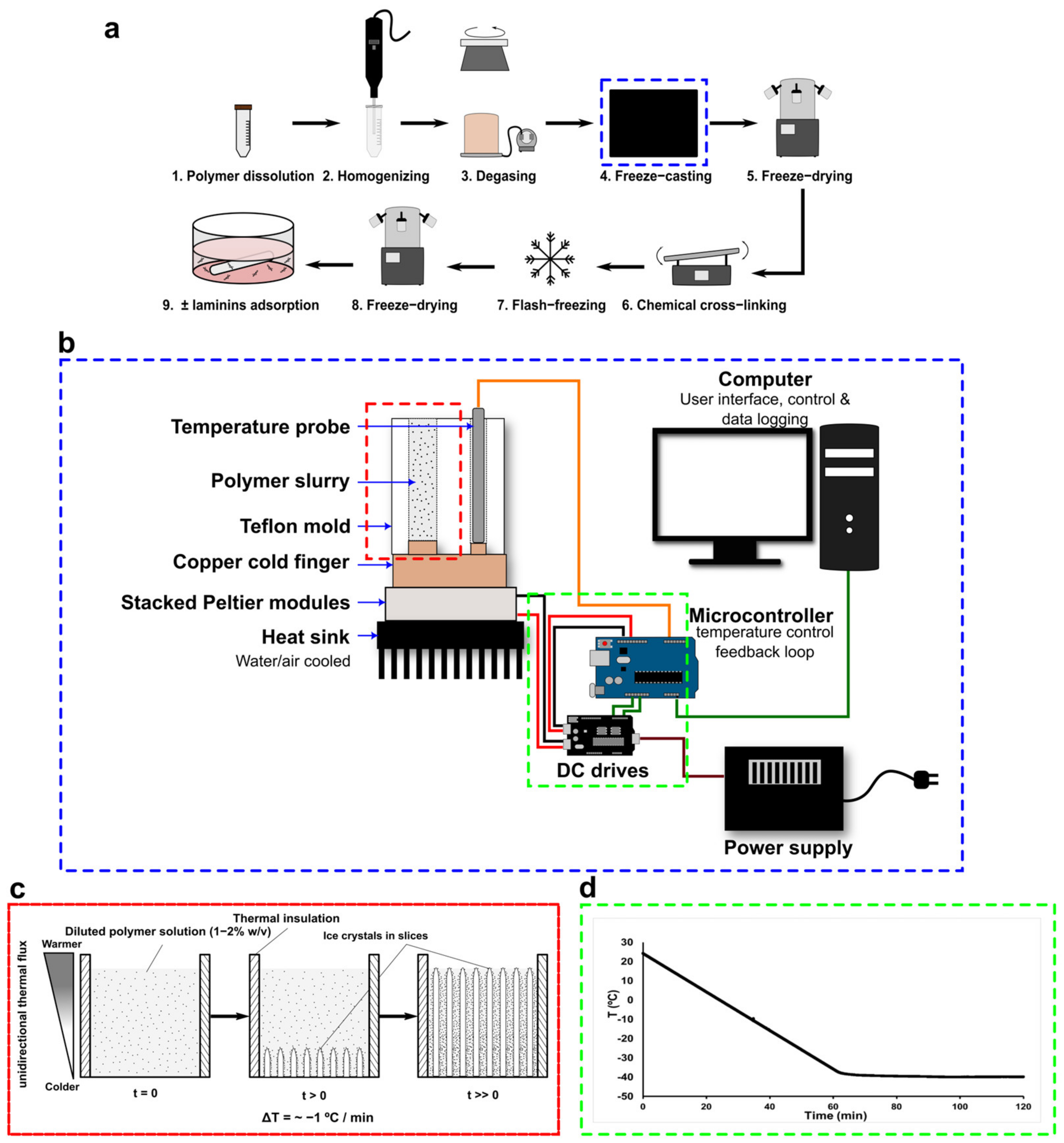 Jfb 14 00330 g001 Jfb 14 00330 g001