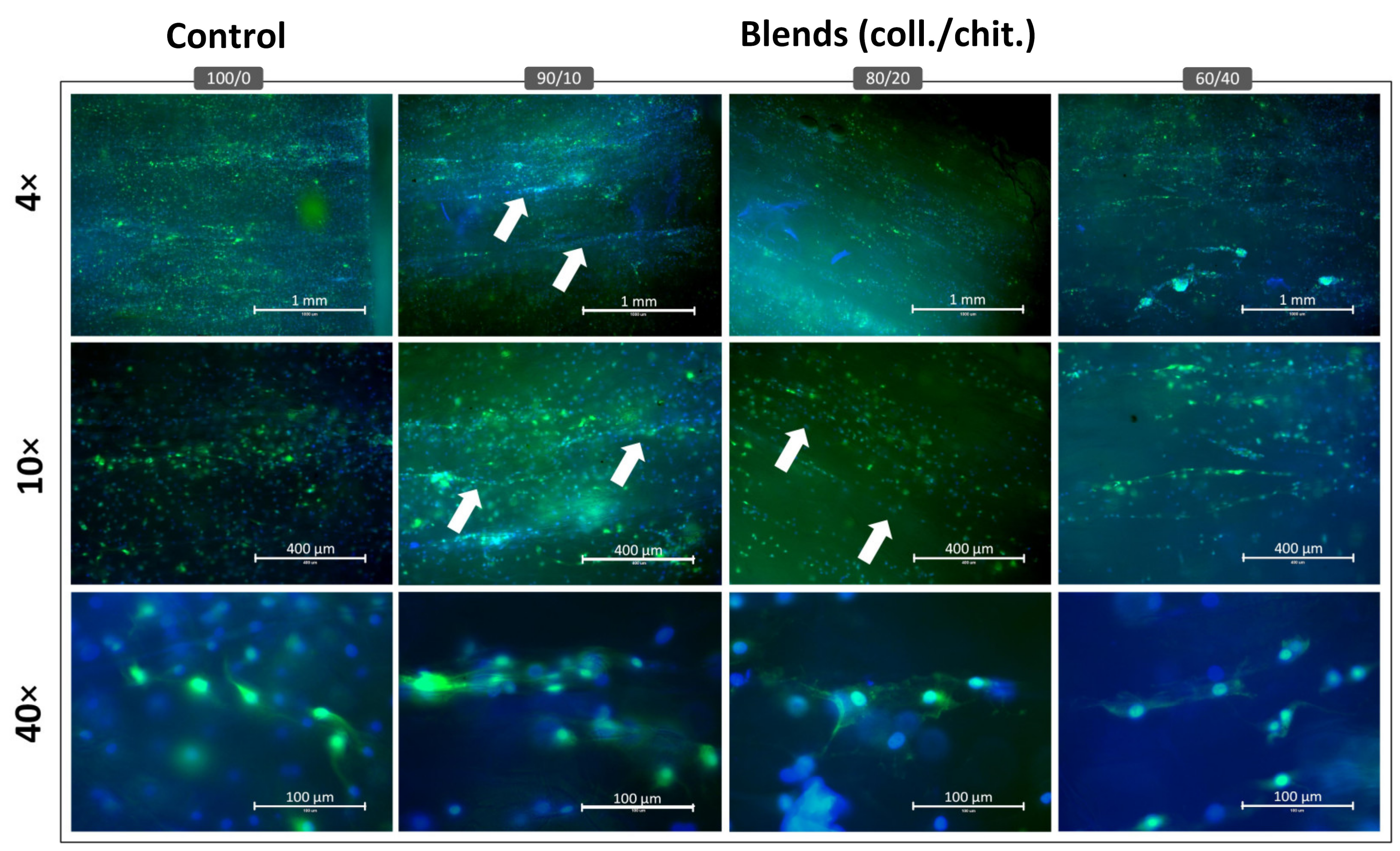 Jfb 14 00330 g009 Jfb 14 00330 g009
