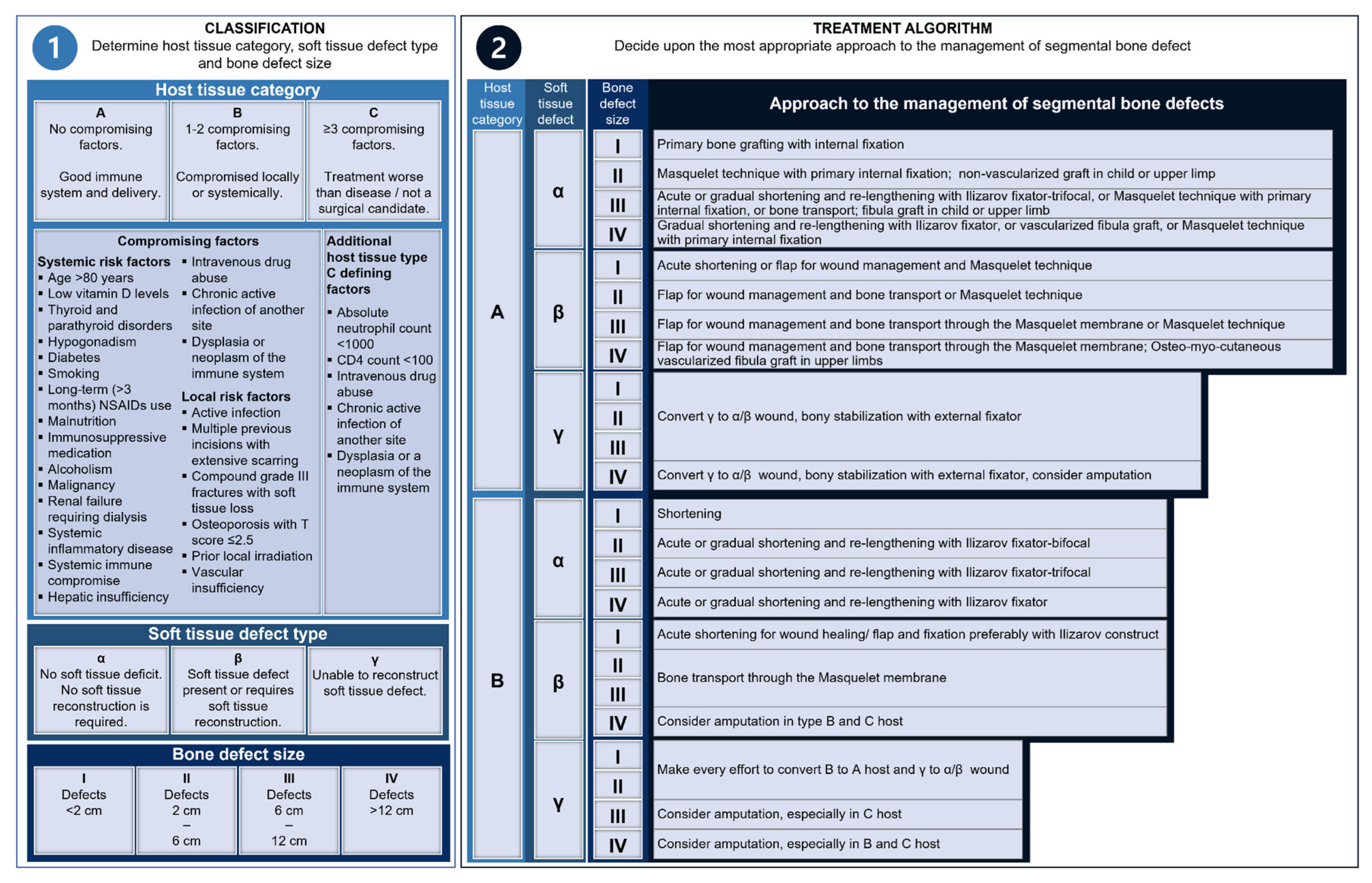 Jfb 14 00341 g002 Jfb 14 00341 g002