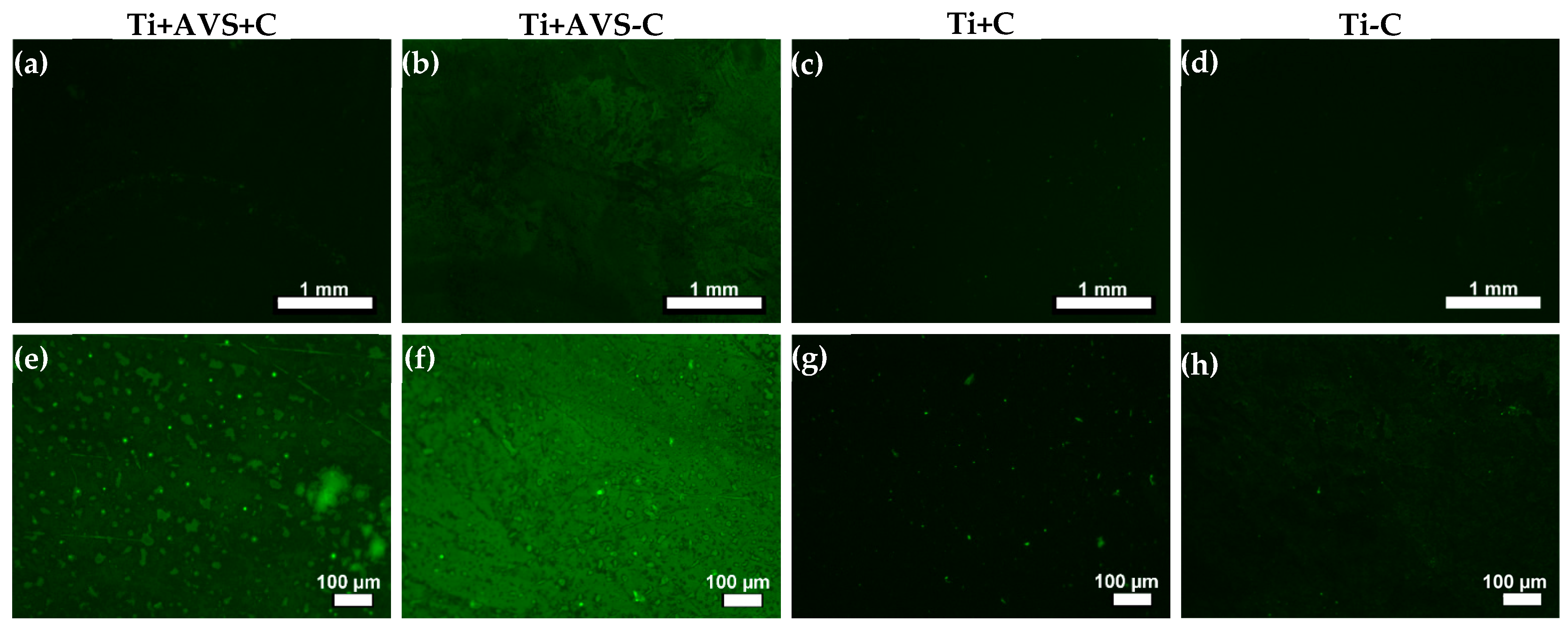 Jfb 14 00342 g001 Jfb 14 00342 g001