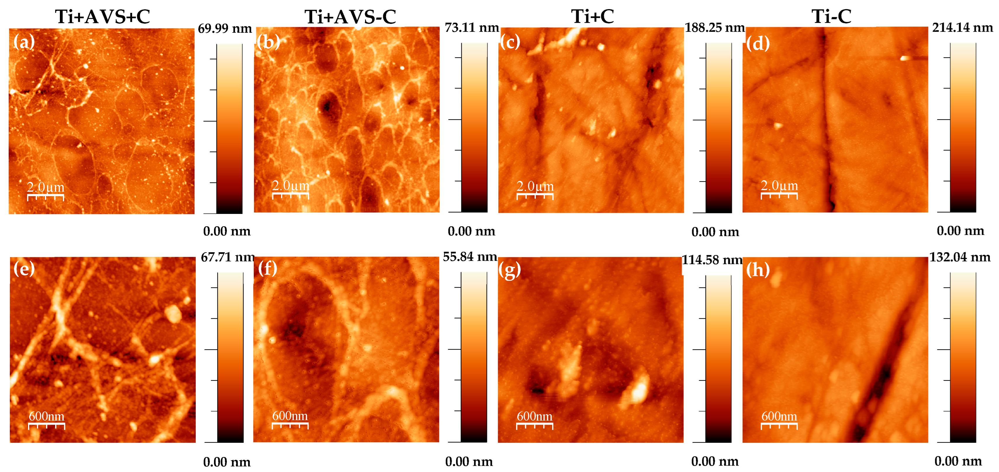 Jfb 14 00342 g002 Jfb 14 00342 g002