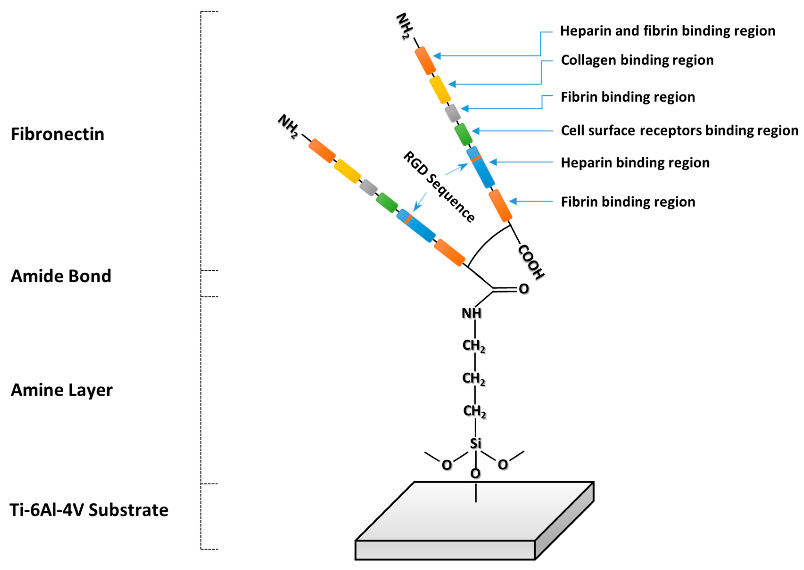 Jfb 14 00342 g008 Jfb 14 00342 g008