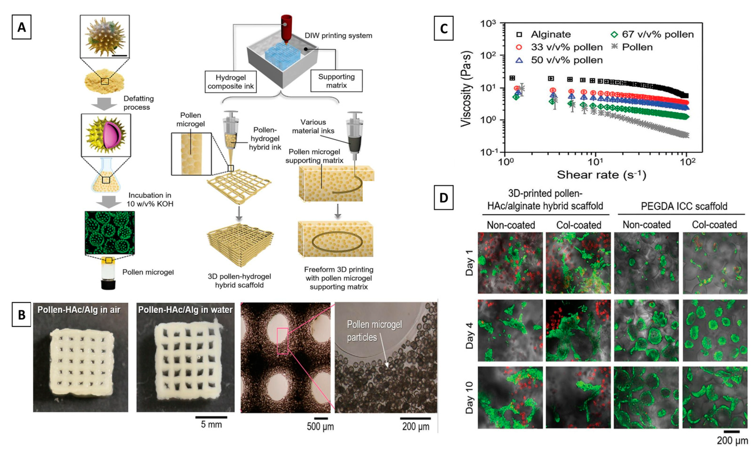 Jfb 14 00352 g003 Jfb 14 00352 g003