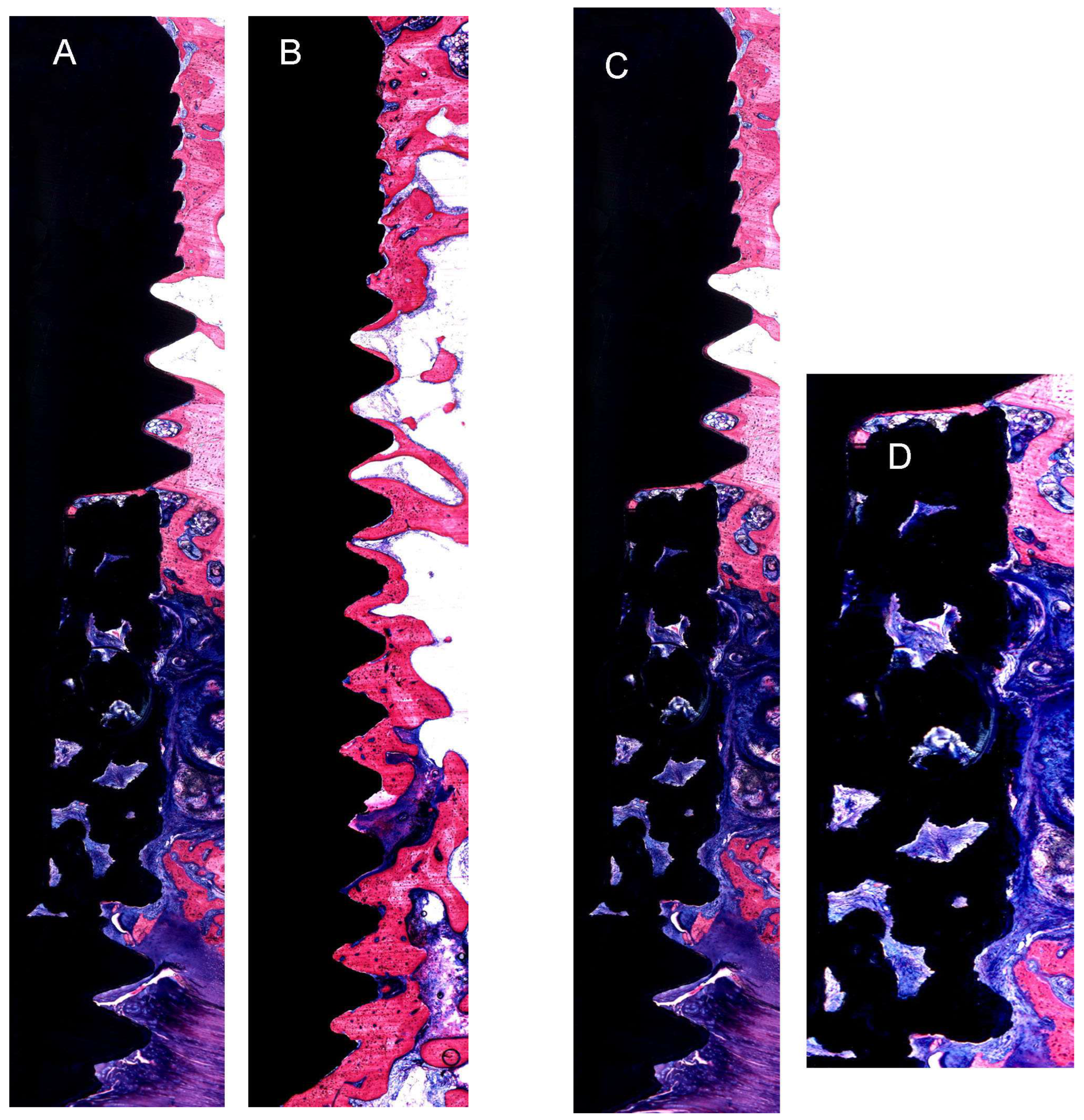 Jfb 14 00355 g003 Jfb 14 00355 g003
