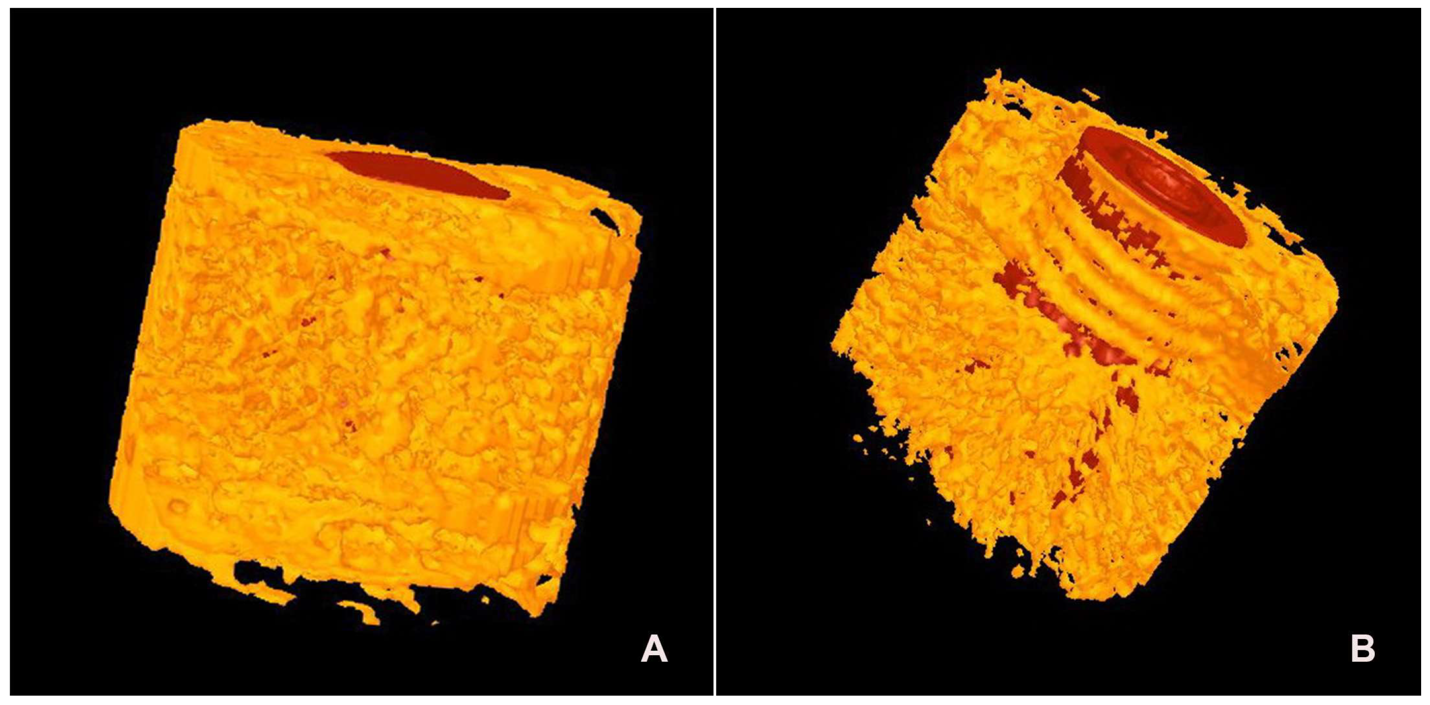 Jfb 14 00355 g006 Jfb 14 00355 g006