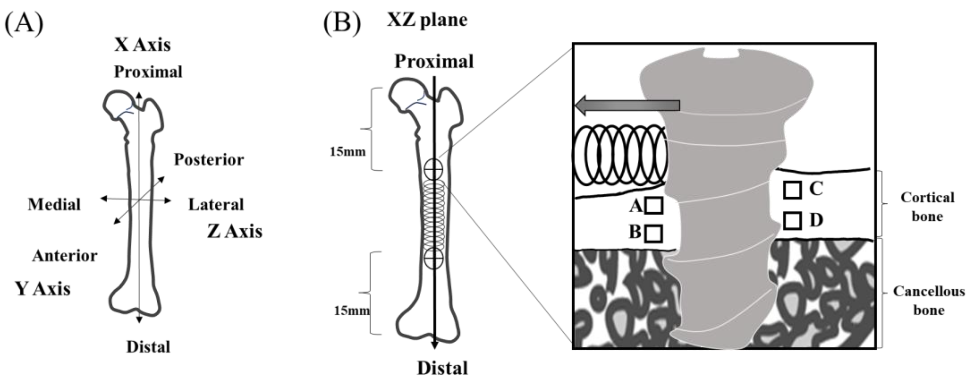Jfb 14 00356 g003 Jfb 14 00356 g003
