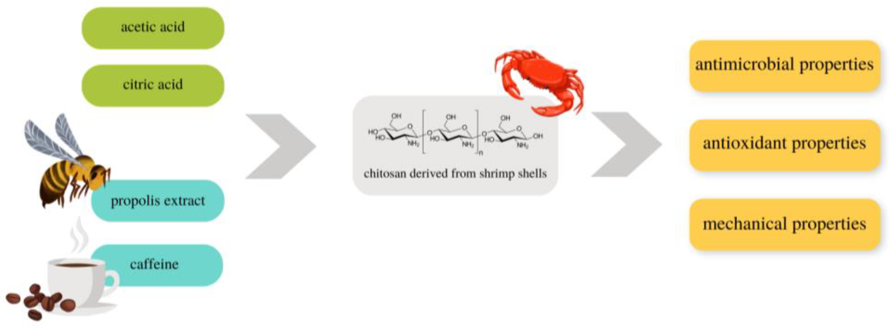 Jfb 14 00358 g001 Jfb 14 00358 g001