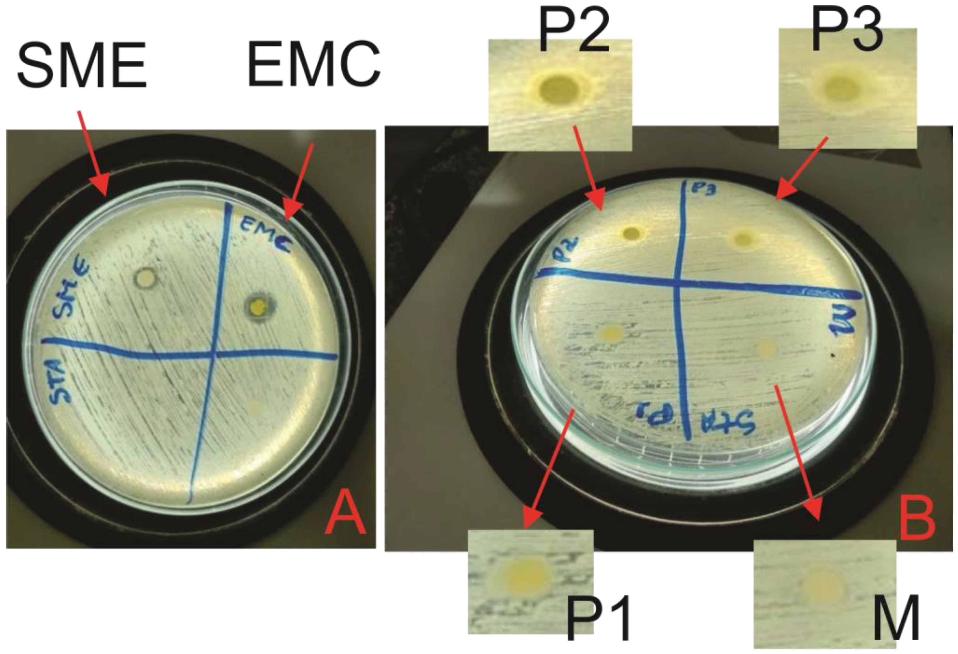 Jfb 14 00359 g006 Jfb 14 00359 g006