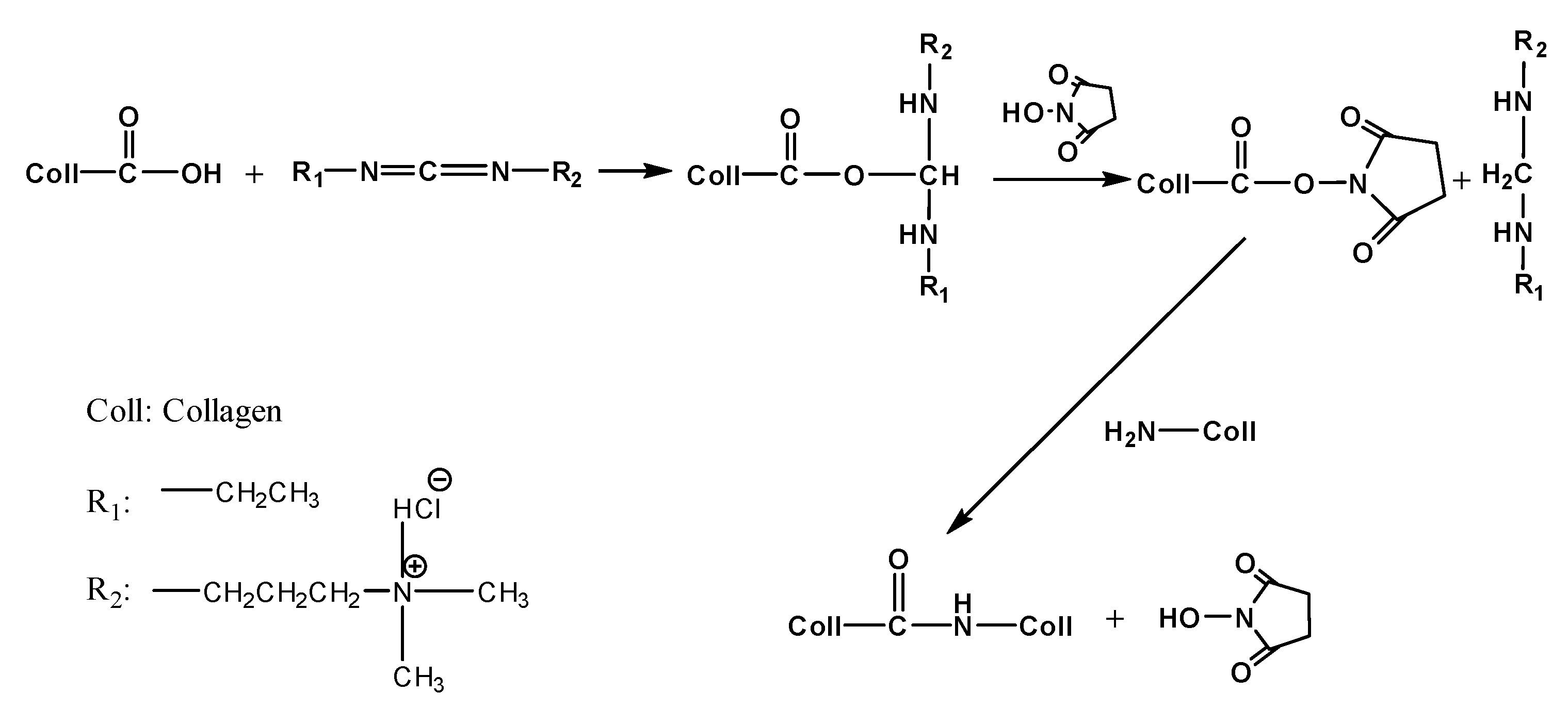 Jfb 14 00360 g005 Jfb 14 00360 g005
