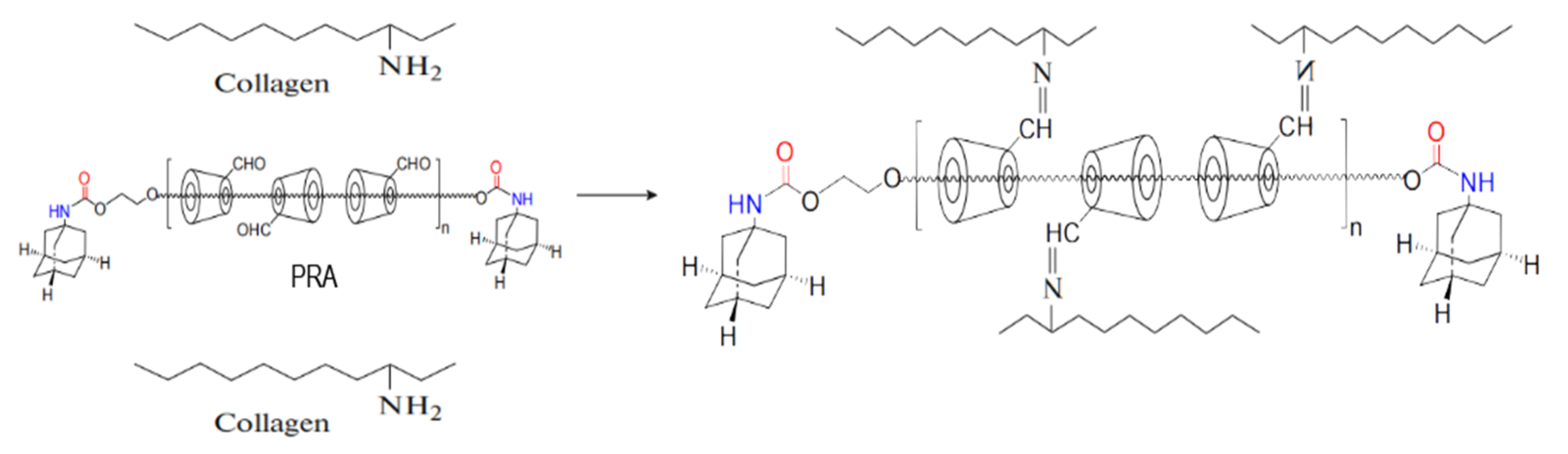 Jfb 14 00360 g006 Jfb 14 00360 g006