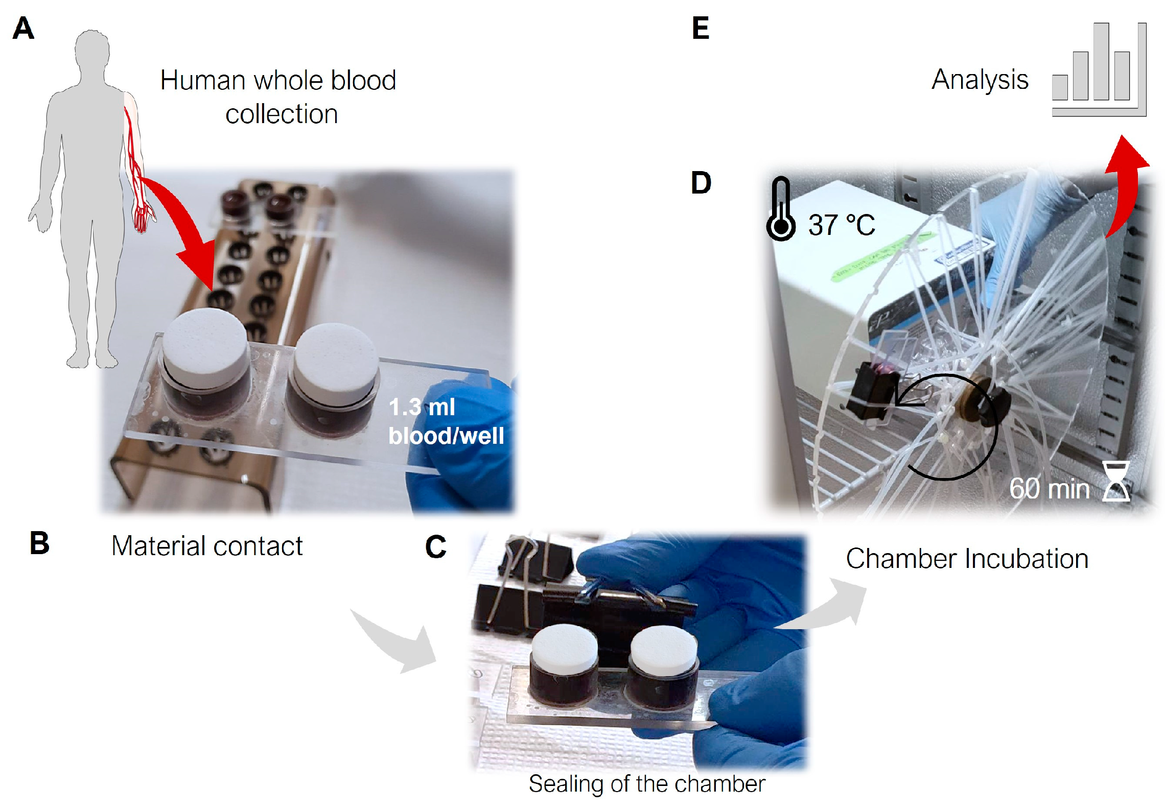 Jfb 14 00361 g001 Jfb 14 00361 g001