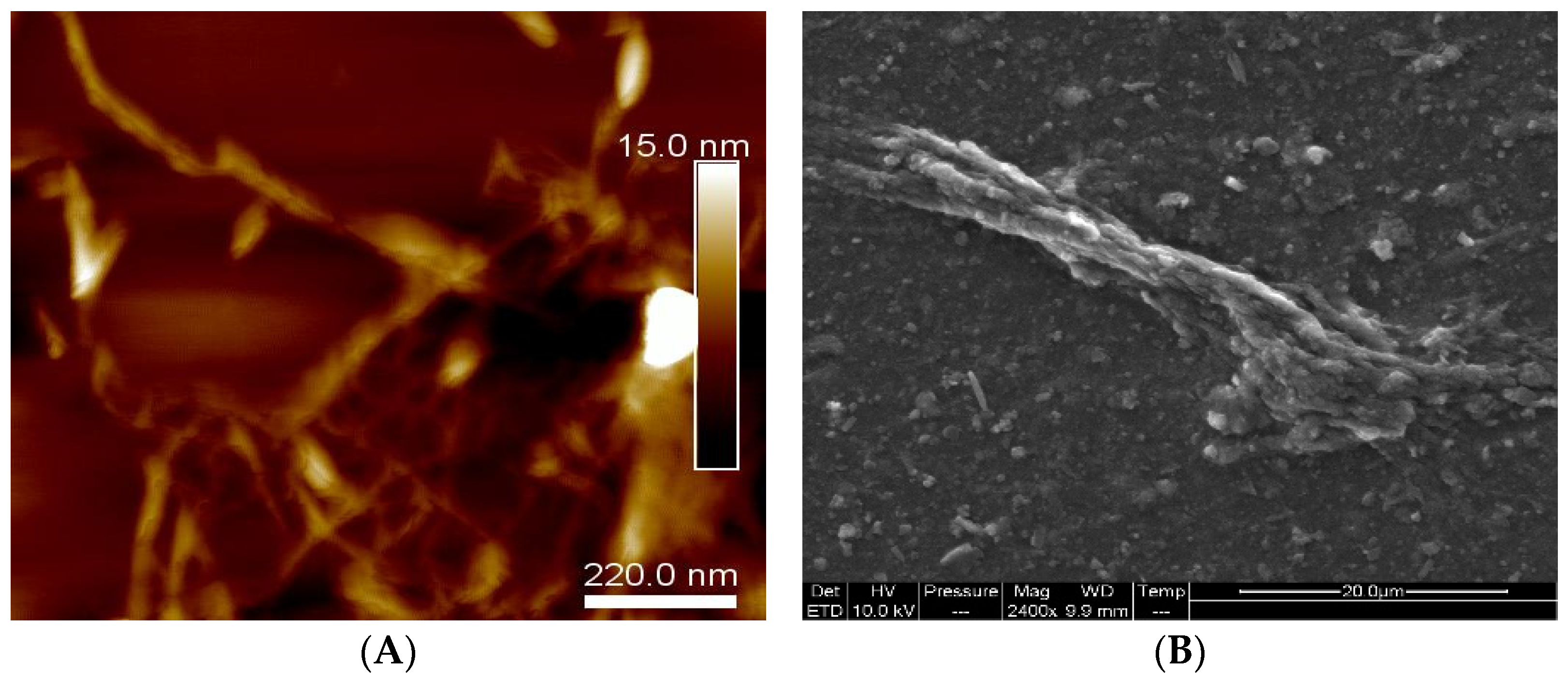 Jfb 14 00366 g001 Jfb 14 00366 g001