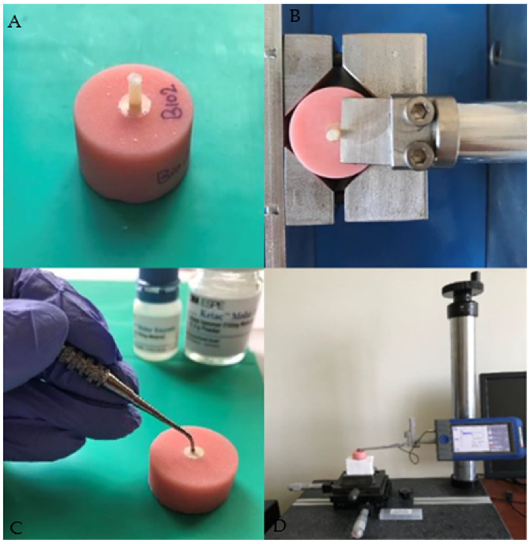 Jfb 14 00367 g002 Jfb 14 00367 g002