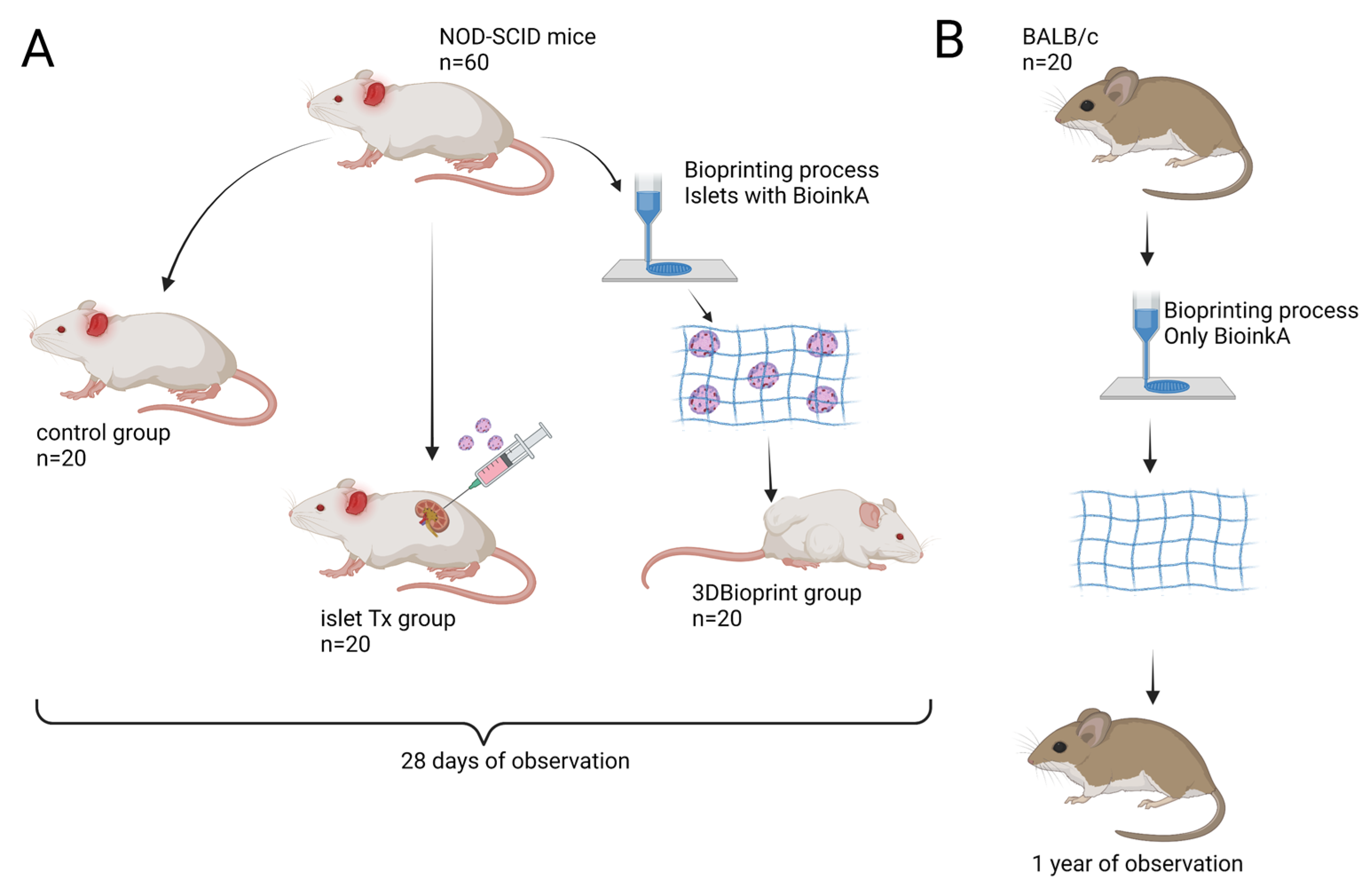 Jfb 14 00371 g001 Jfb 14 00371 g001