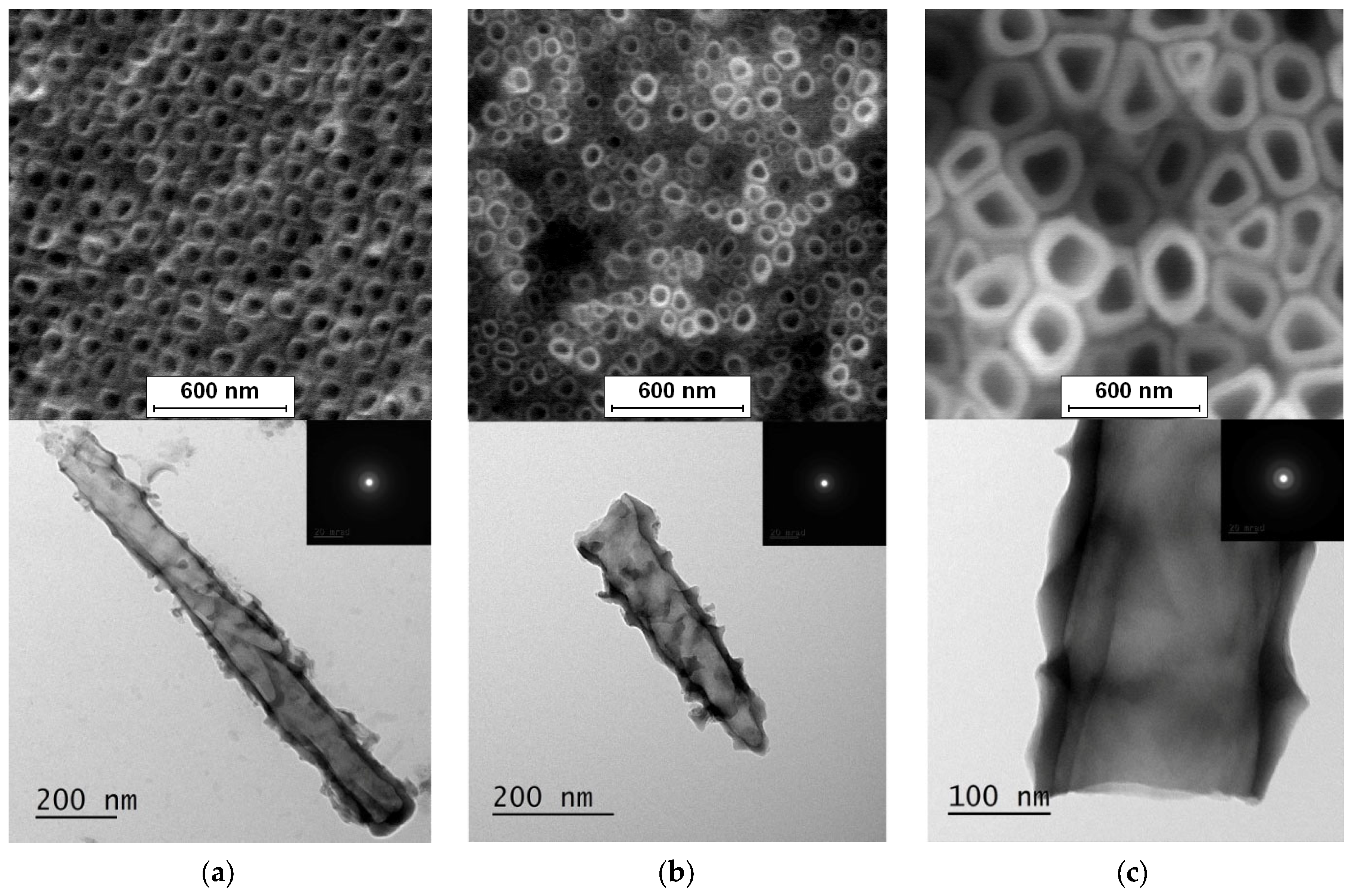 Jfb 14 00375 g002 Jfb 14 00375 g002