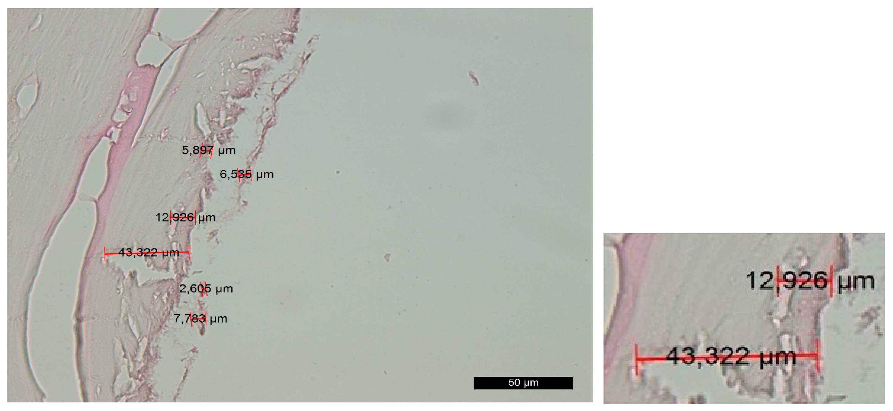 Jfb 14 00376 g004 Jfb 14 00376 g004