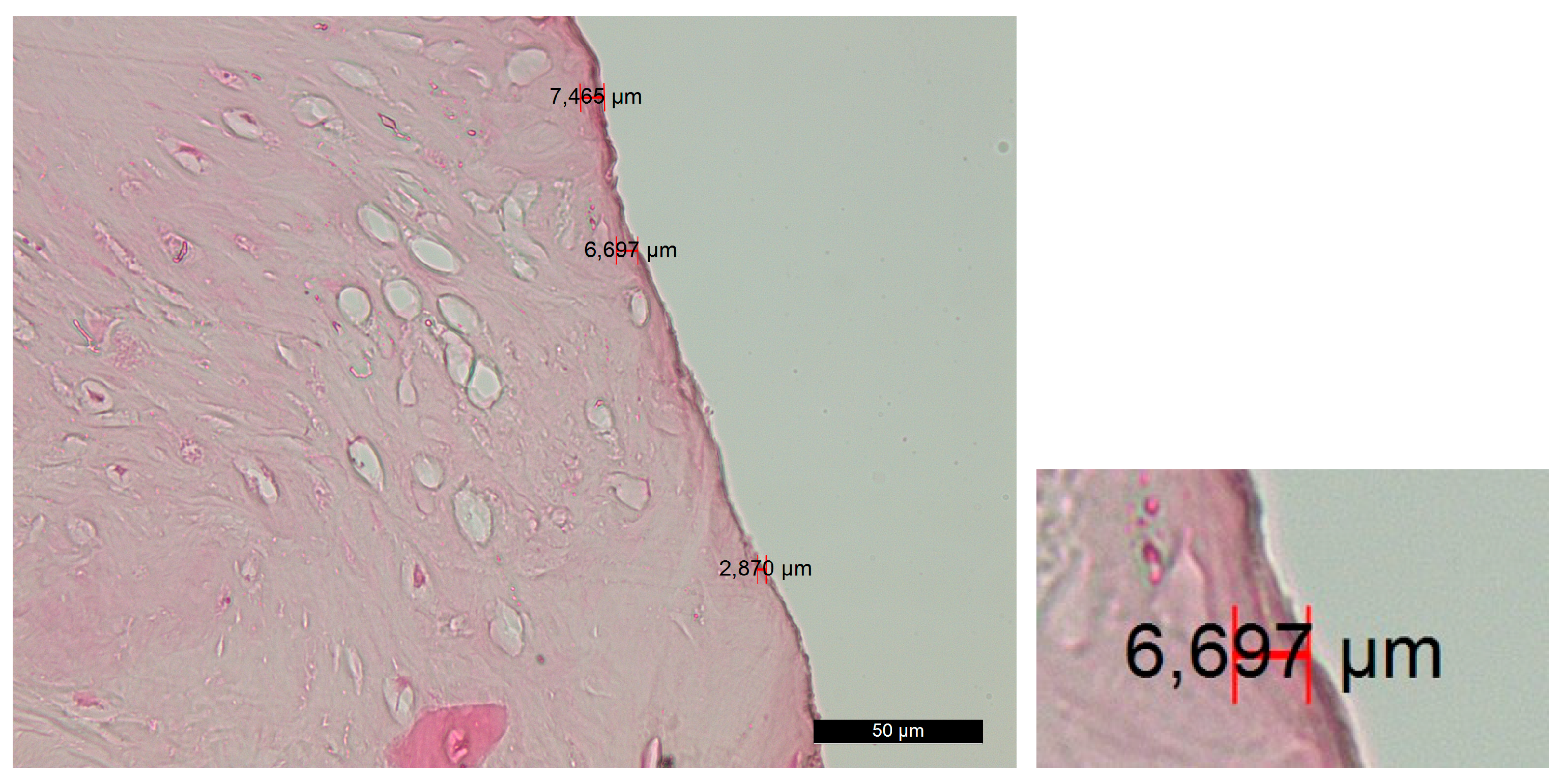 Jfb 14 00376 g005 Jfb 14 00376 g005