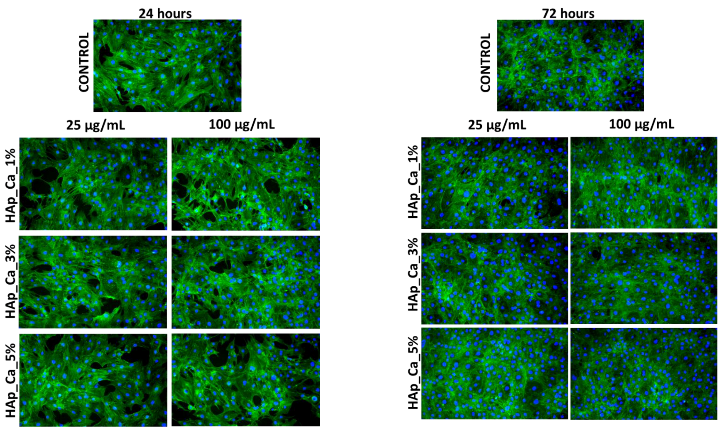Jfb 14 00378 g011 Jfb 14 00378 g011