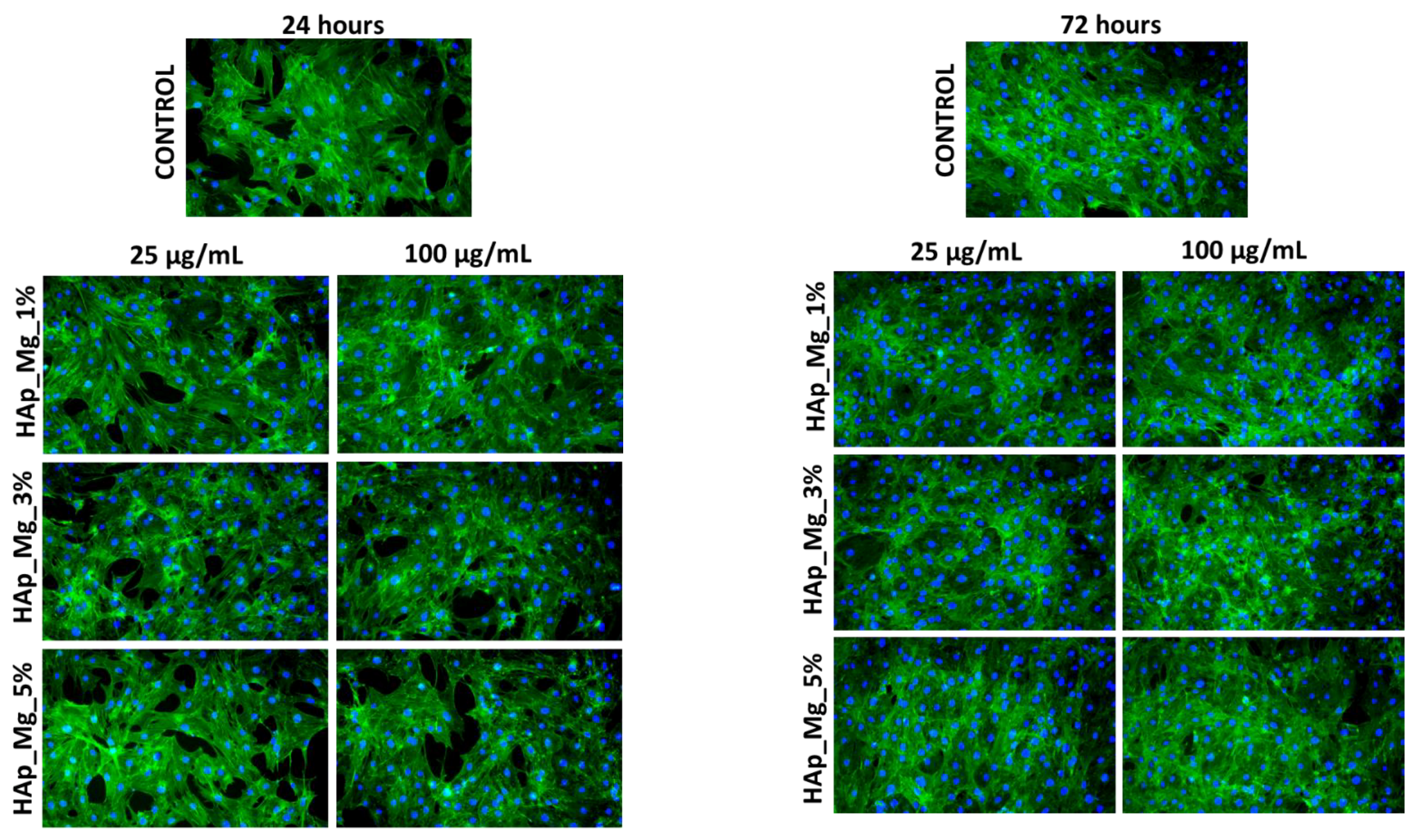 Jfb 14 00378 g012 Jfb 14 00378 g012