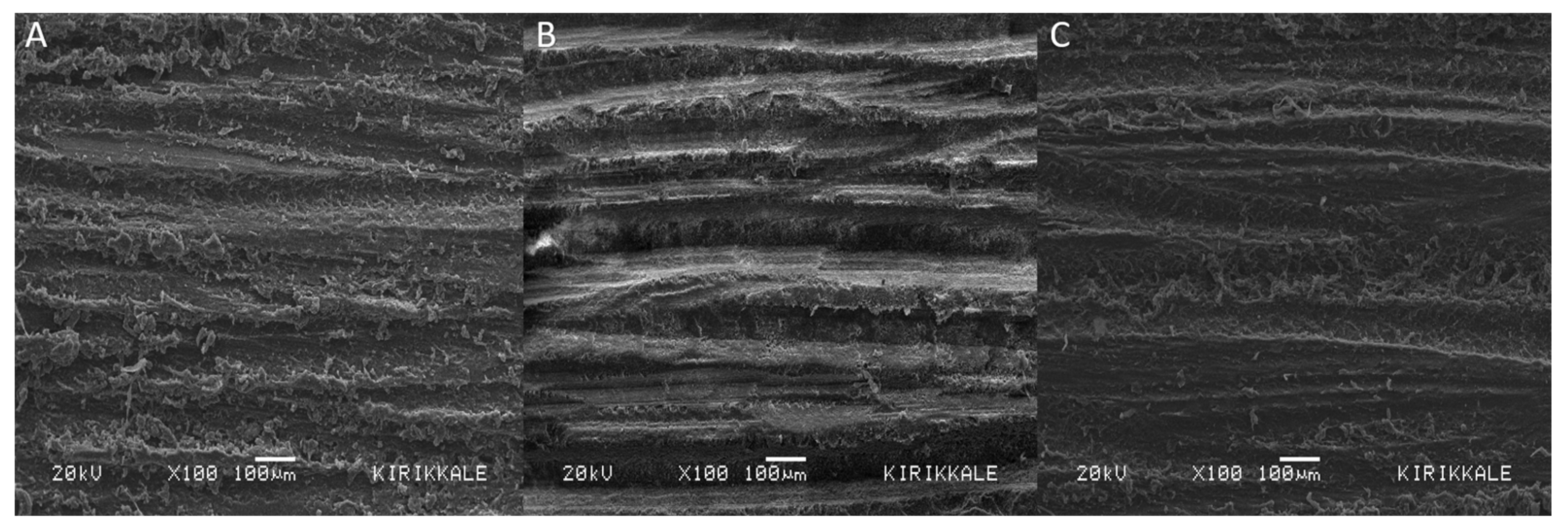 Jfb 14 00380 g002 Jfb 14 00380 g002