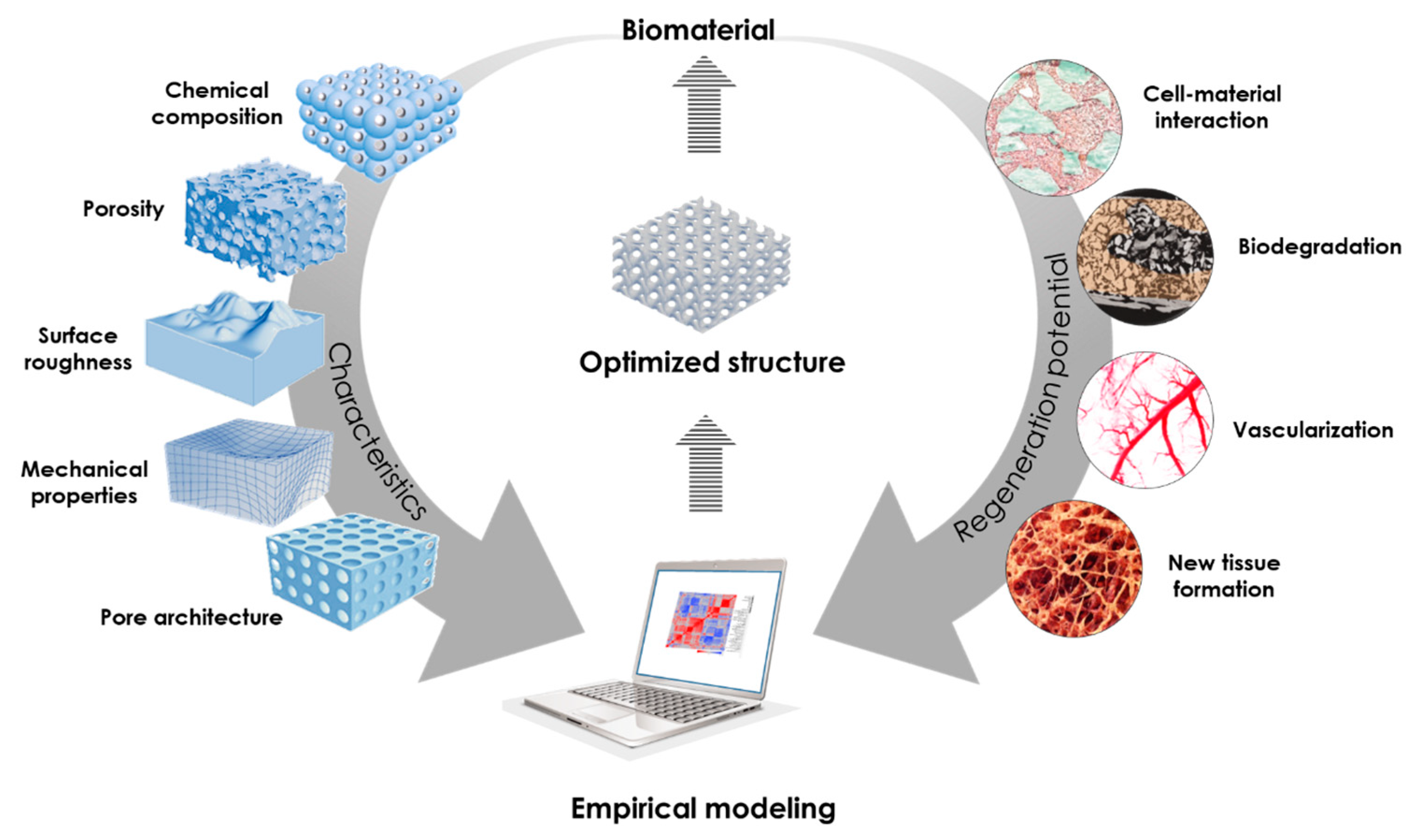 JFB Free FullText An Empirical Model Linking PhysicoChemical