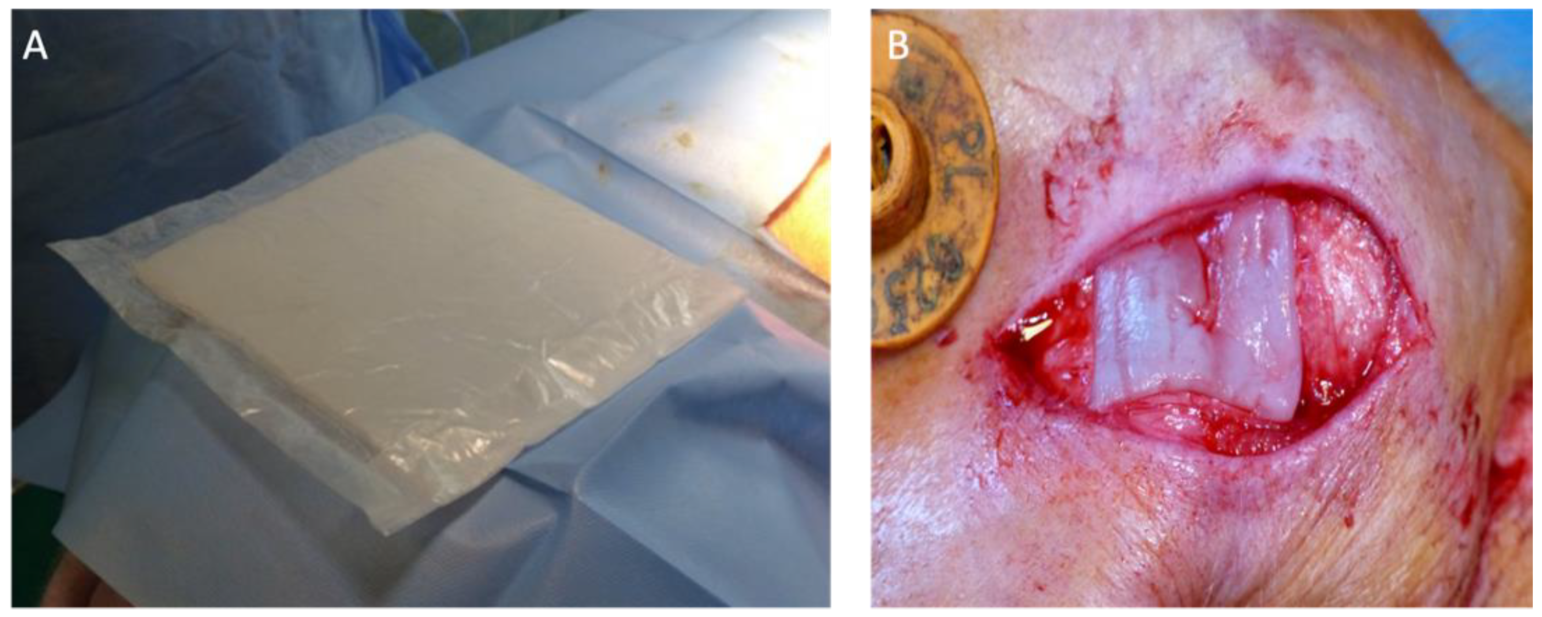 Jfb 14 00397 g001 Jfb 14 00397 g001