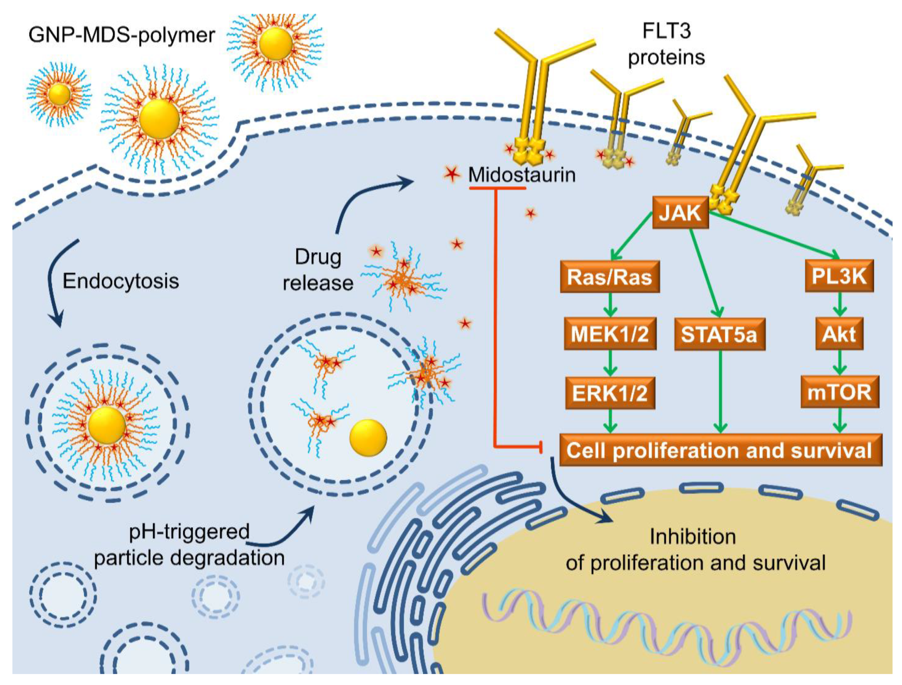 Jfb 14 00399 g005 Jfb 14 00399 g005