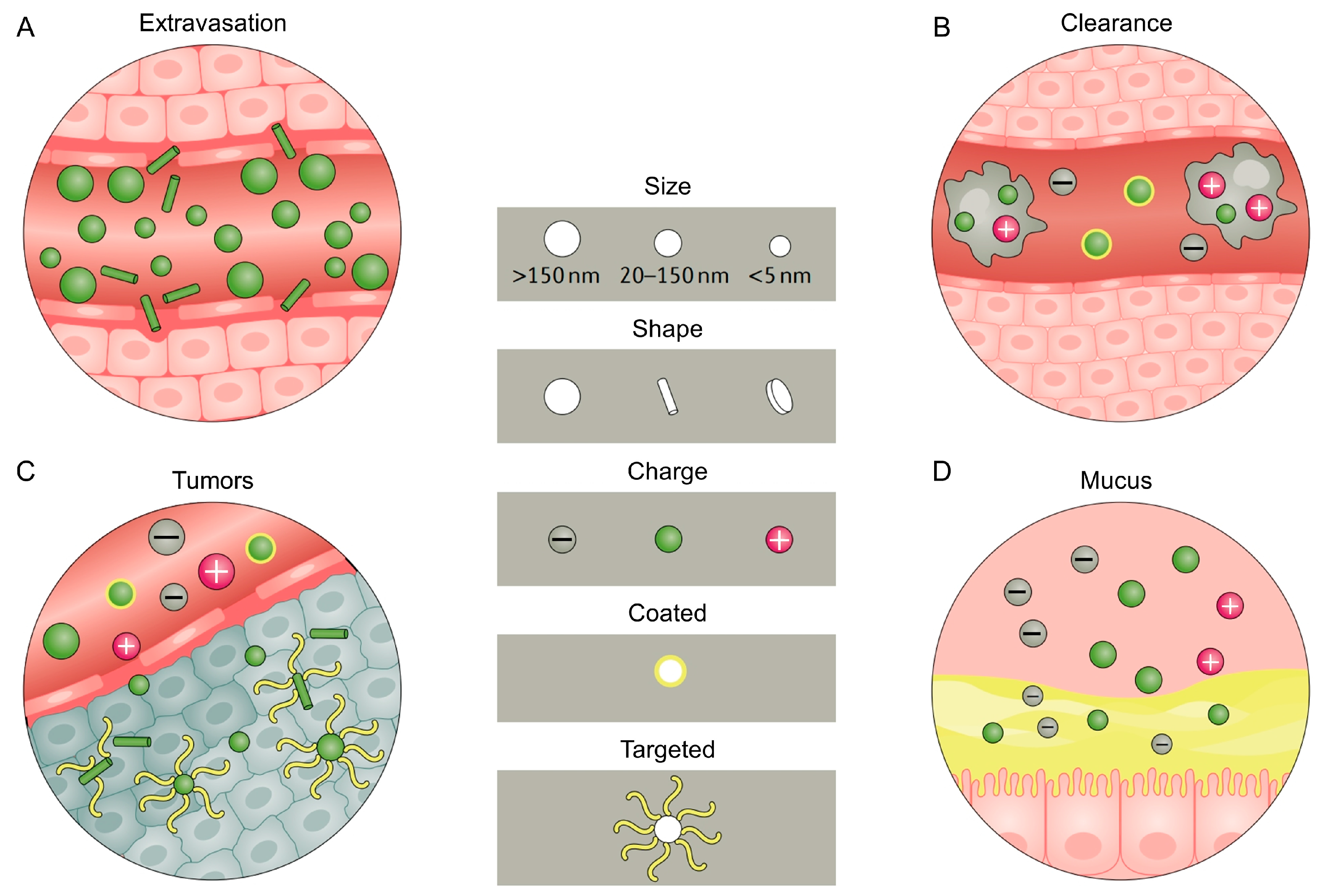 Jfb 14 00404 g001 Jfb 14 00404 g001