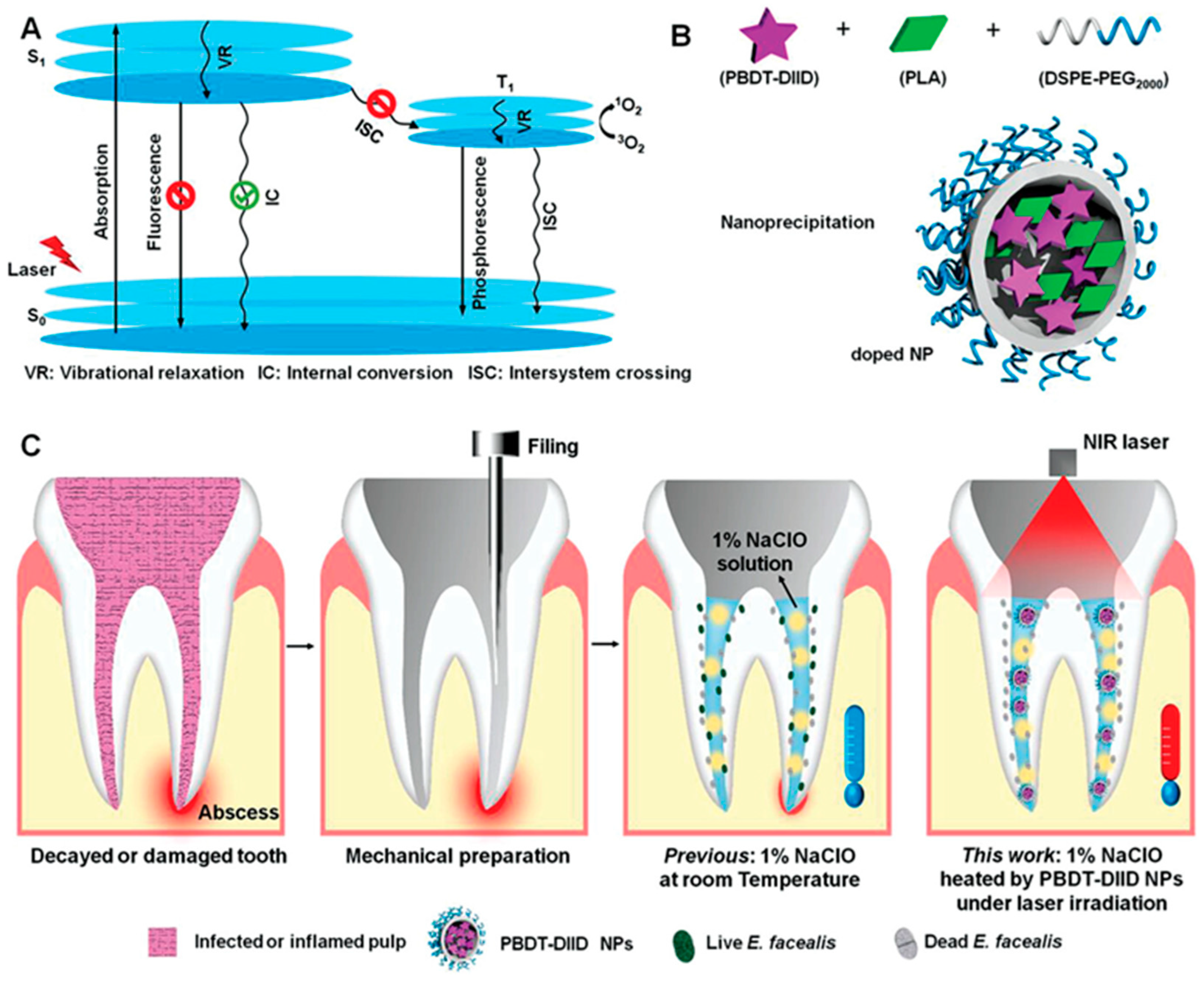 Jfb 14 00404 g005 Jfb 14 00404 g005