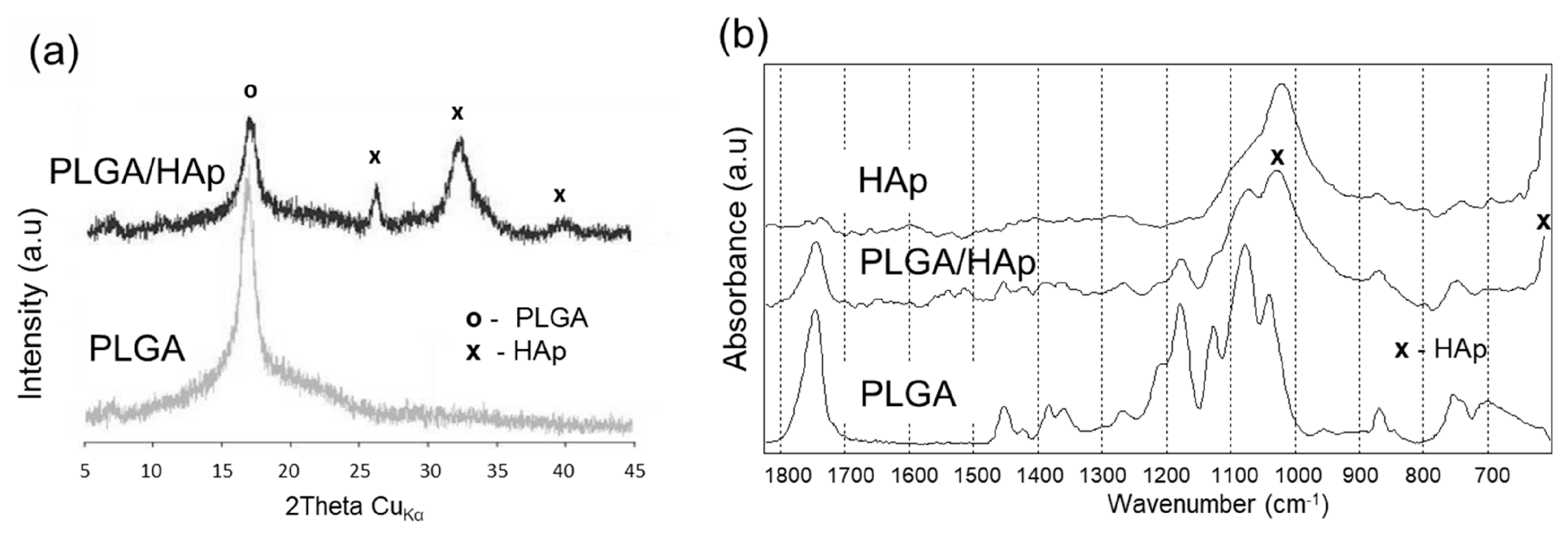 Jfb 14 00406 g003 Jfb 14 00406 g003