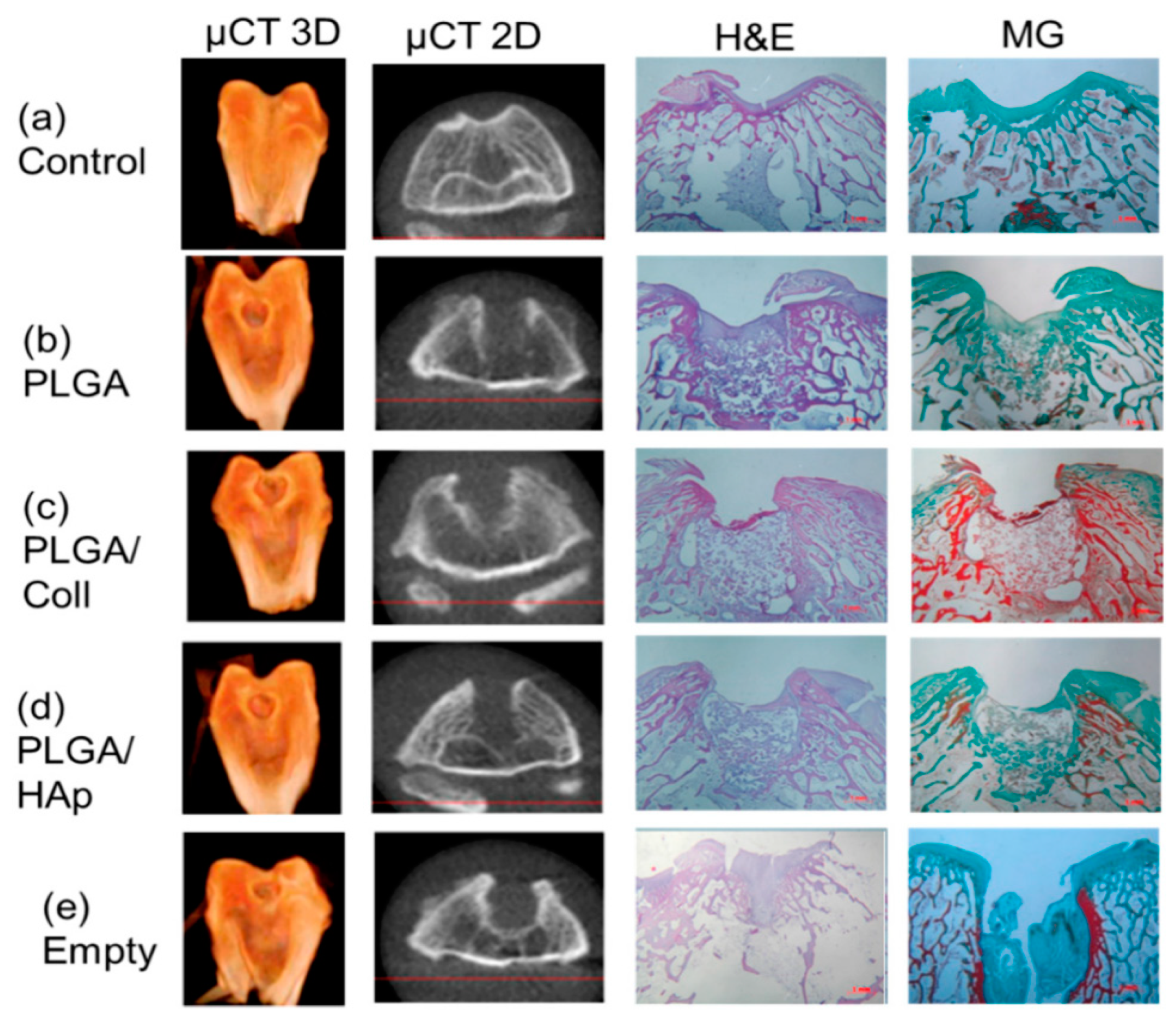 Jfb 14 00406 g007 Jfb 14 00406 g007