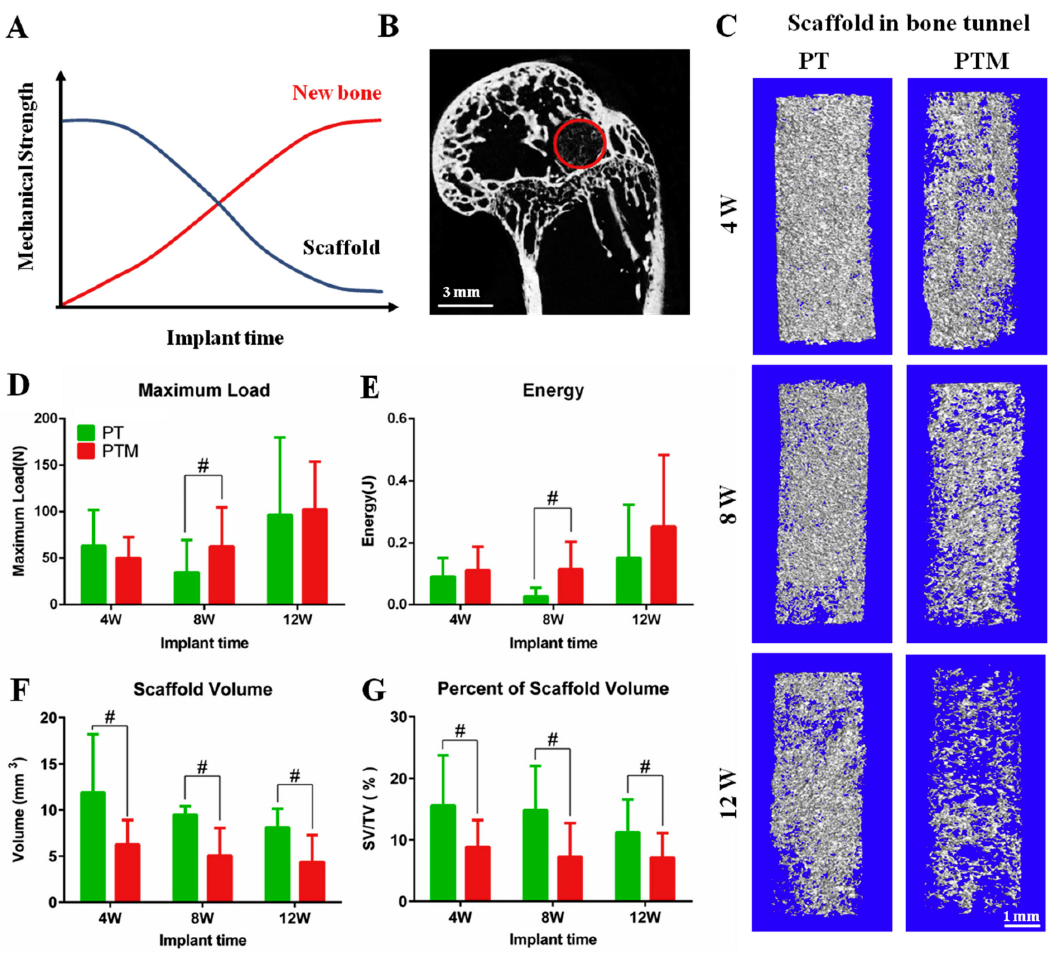 Jfb 14 00406 g008 Jfb 14 00406 g008