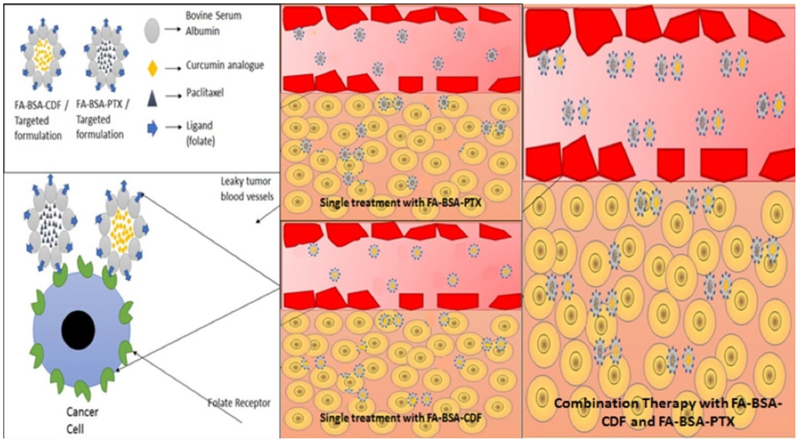 Jfb 14 00408 g001 Jfb 14 00408 g001