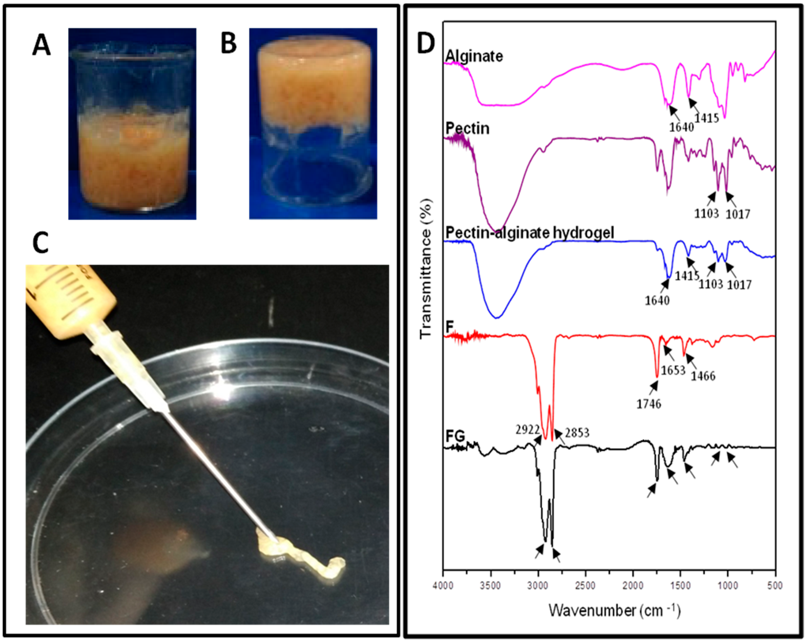 Jfb 14 00409 g003 Jfb 14 00409 g003